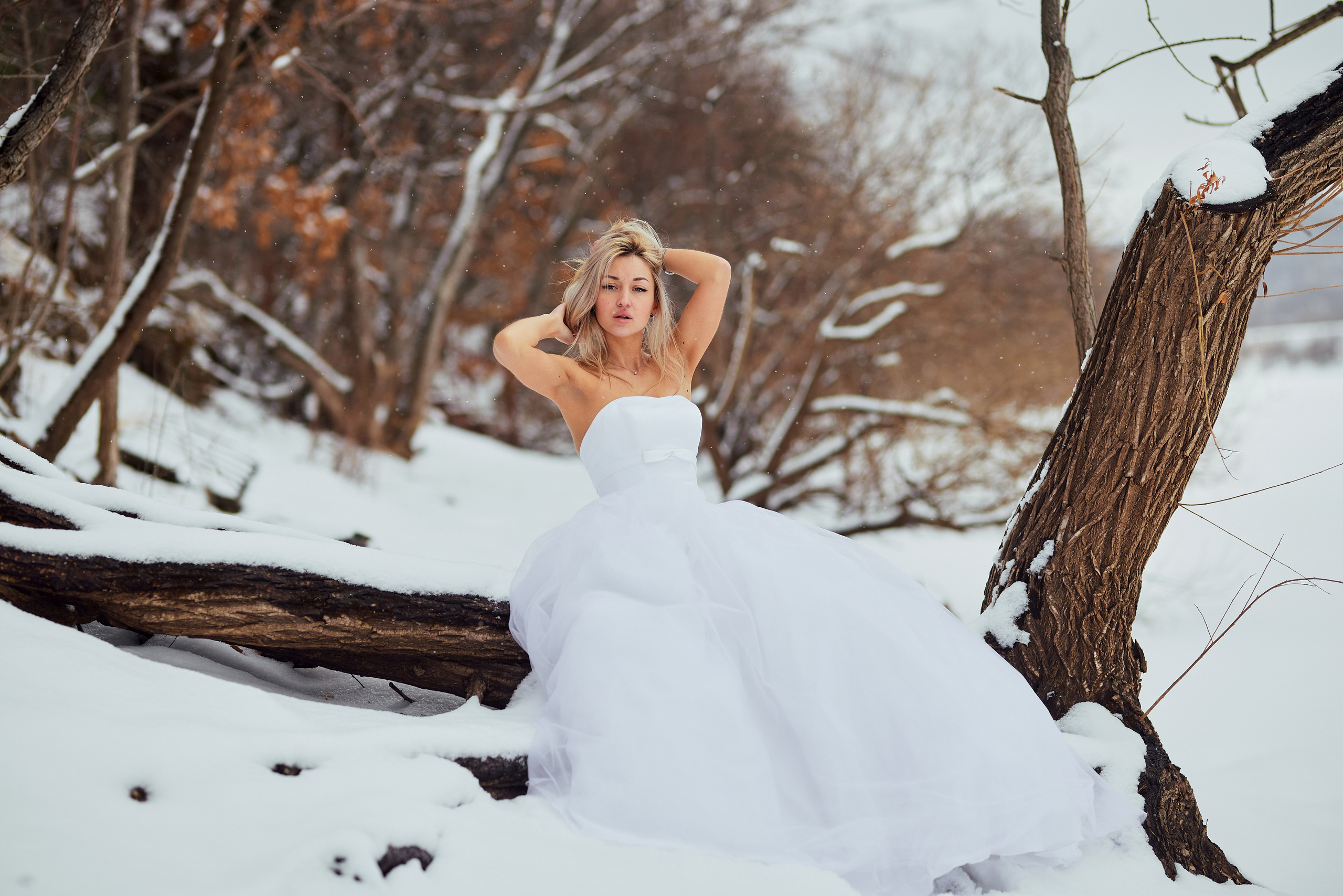 Сбежавшая невеста. Сергей Ирклиенко