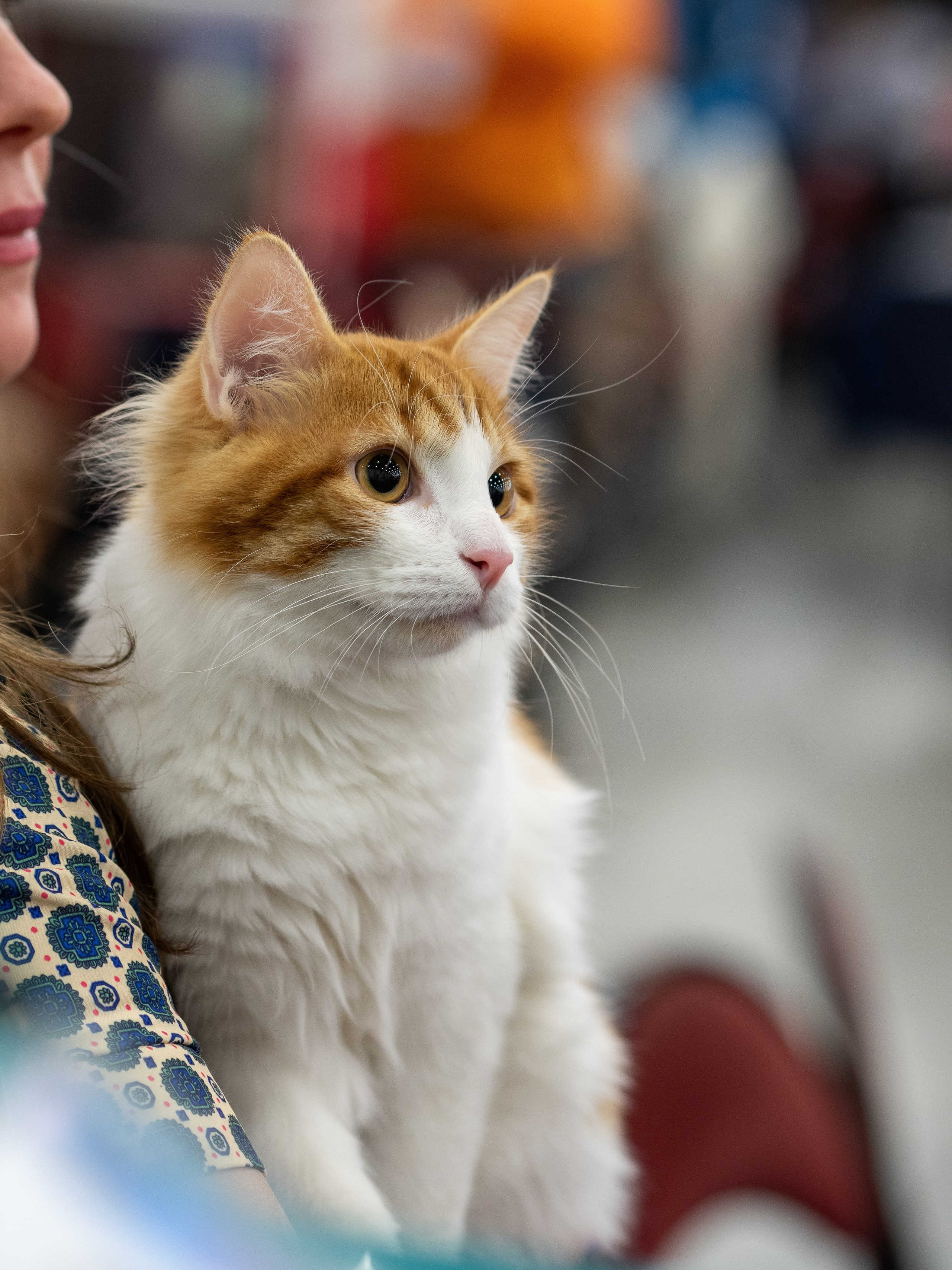 Анималистика. Сайт портфолио двух профессиональных фотографов