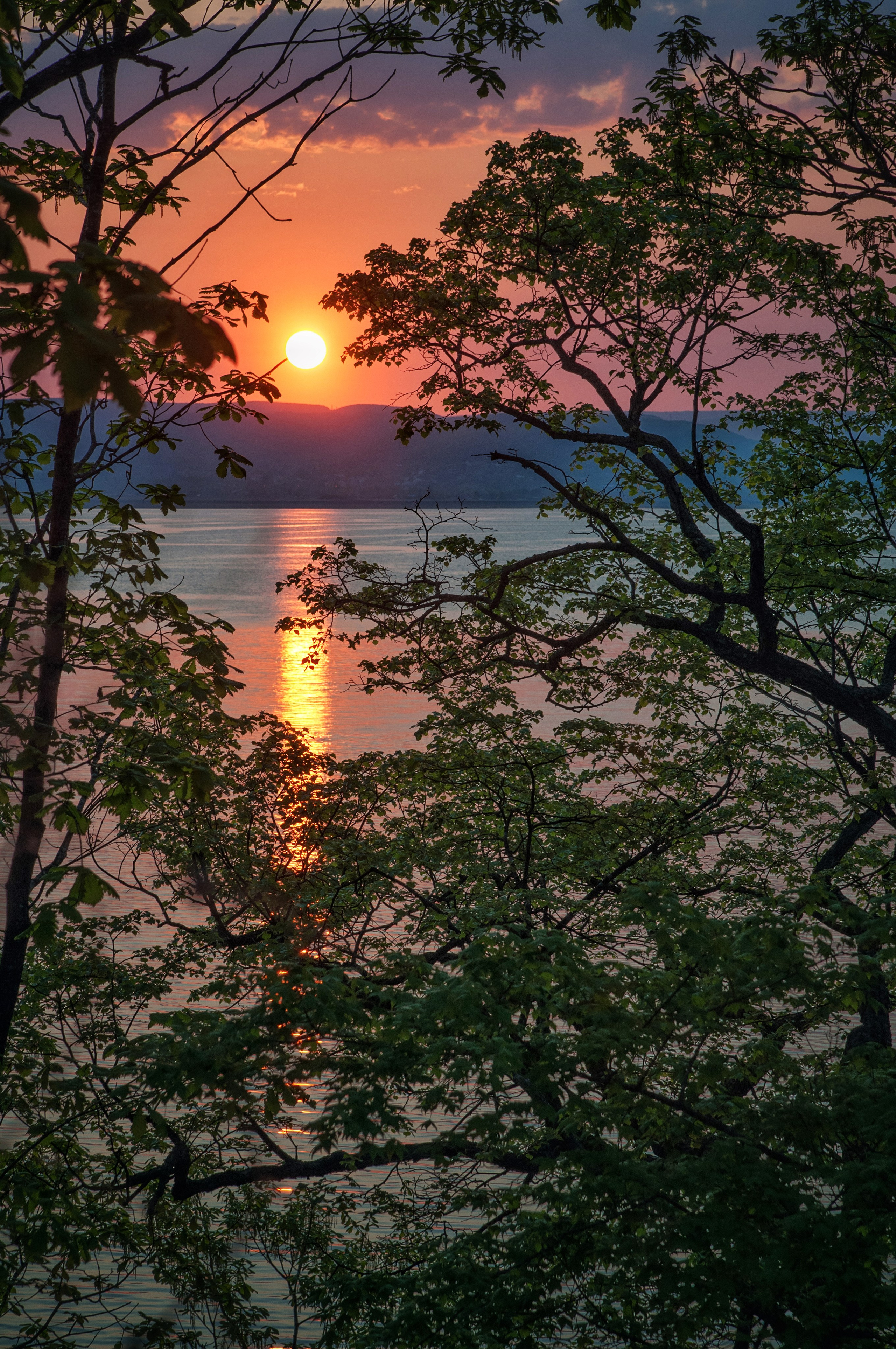 Пейзажи и дикая природа. Пейзажный и репортажный фотограф