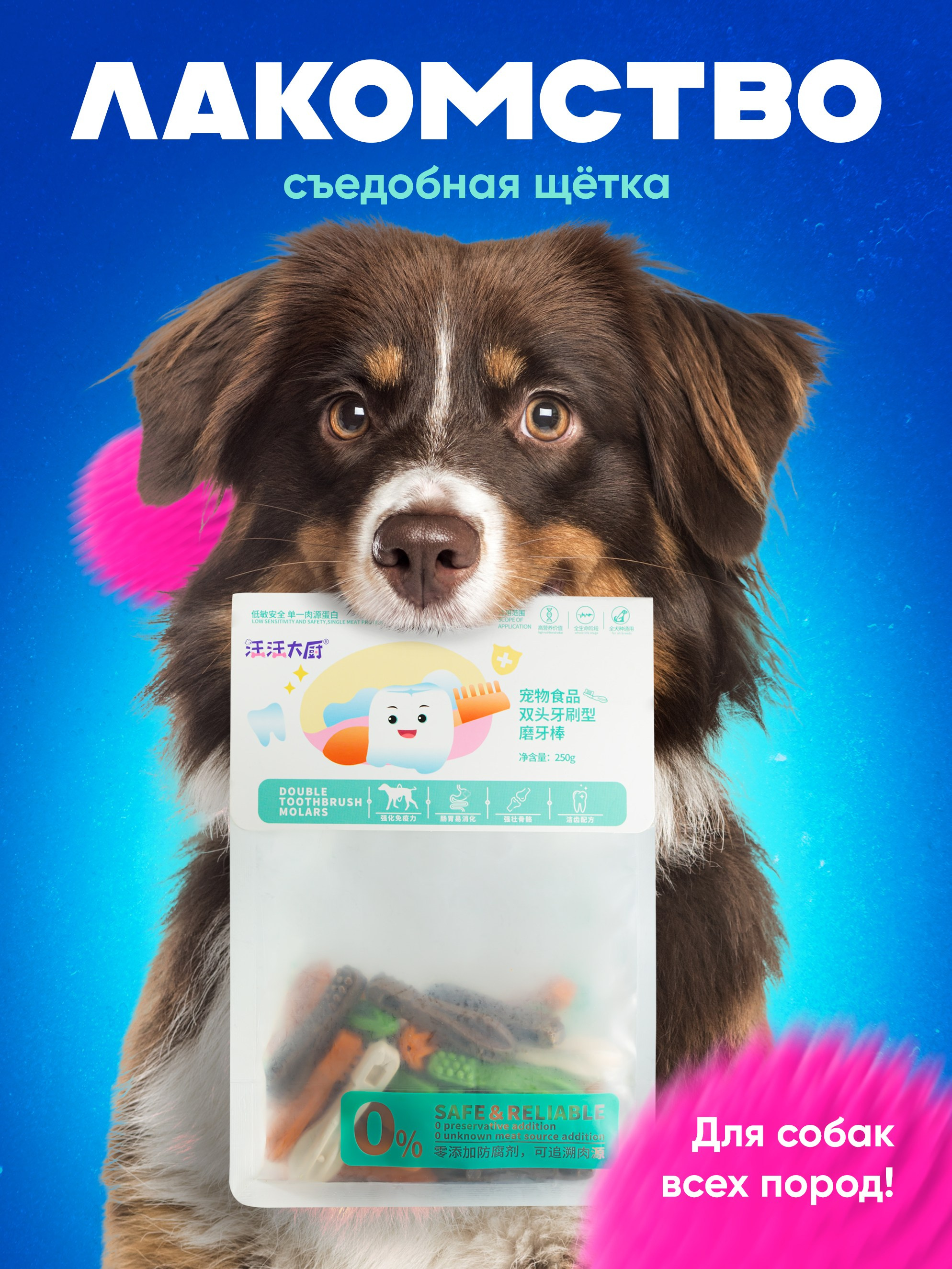 Товары для животных. Предметная съёмка и инфографика для маркетплейсов в Краснодаре