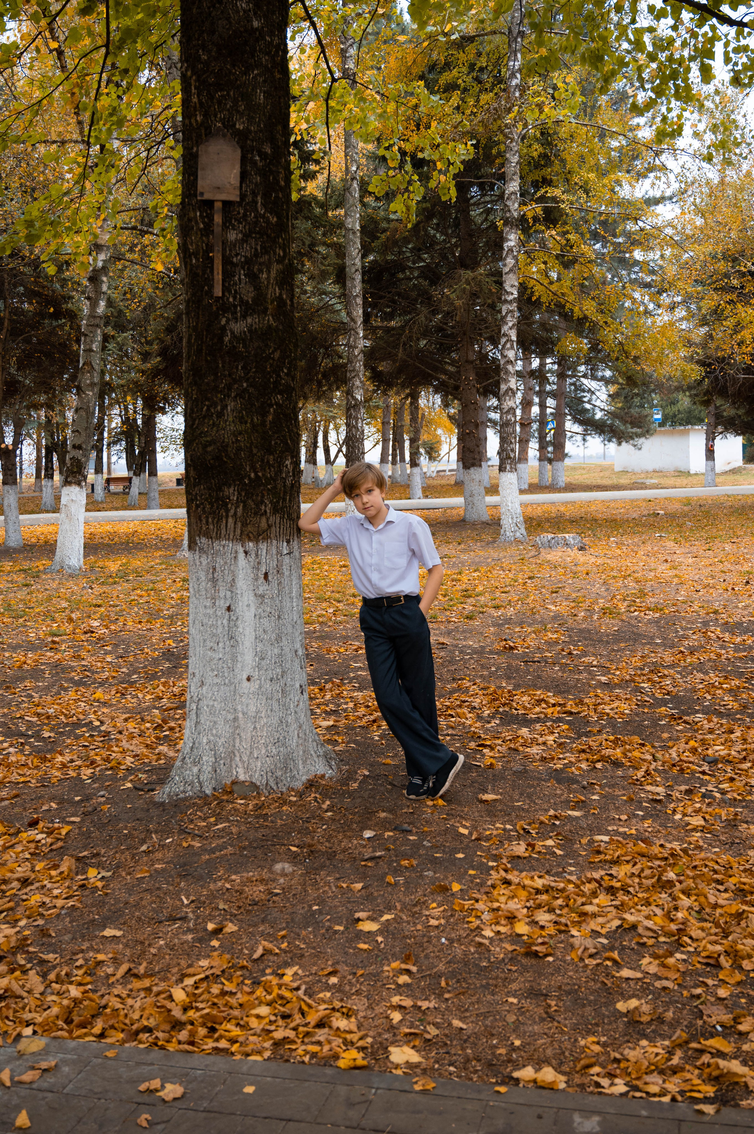 Школьная фотография. Арт студия «Пегас». Фото- и видео- съемка