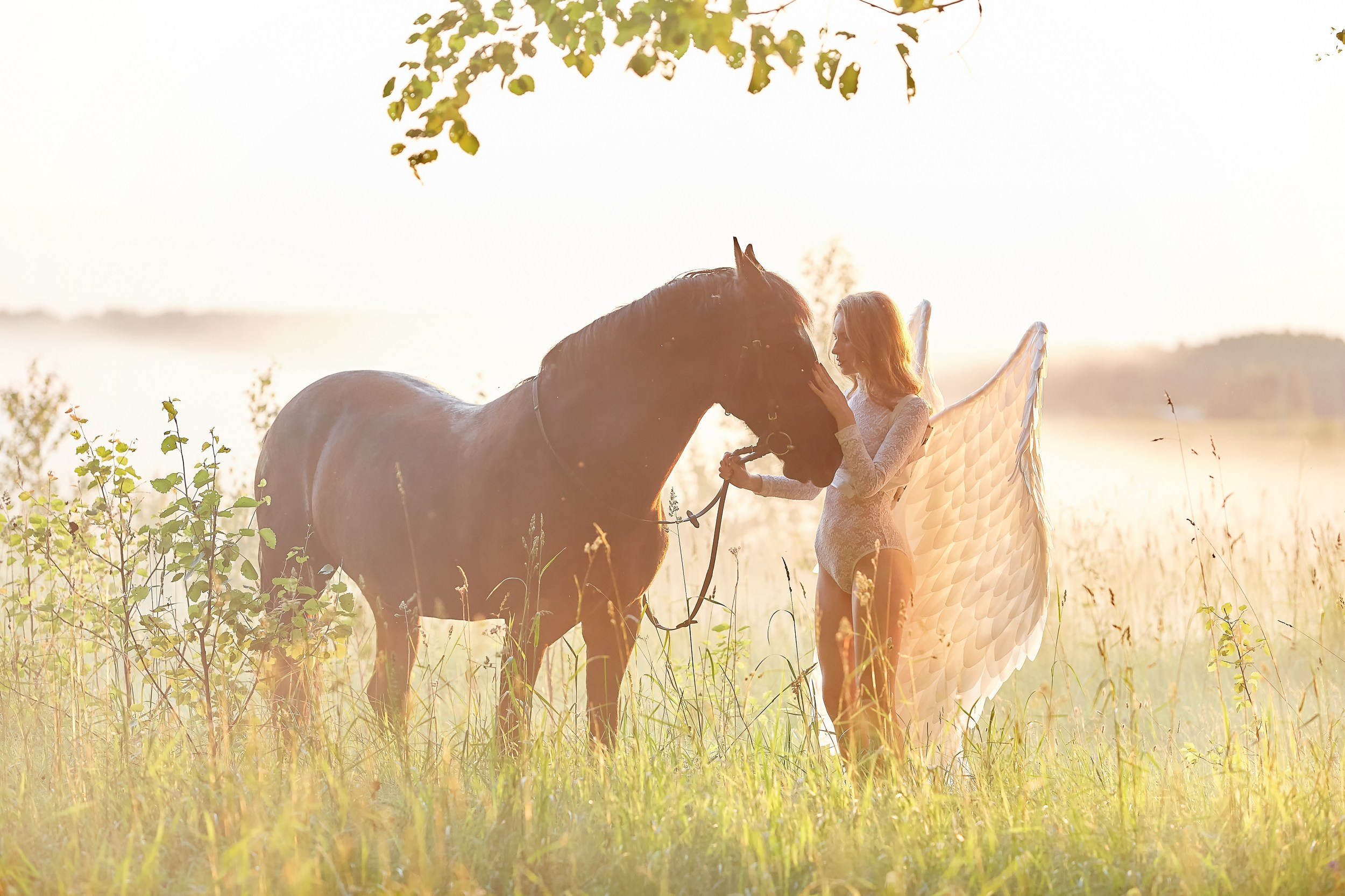 Фотосессия с лошадьми Фотограф Михаил Семенов