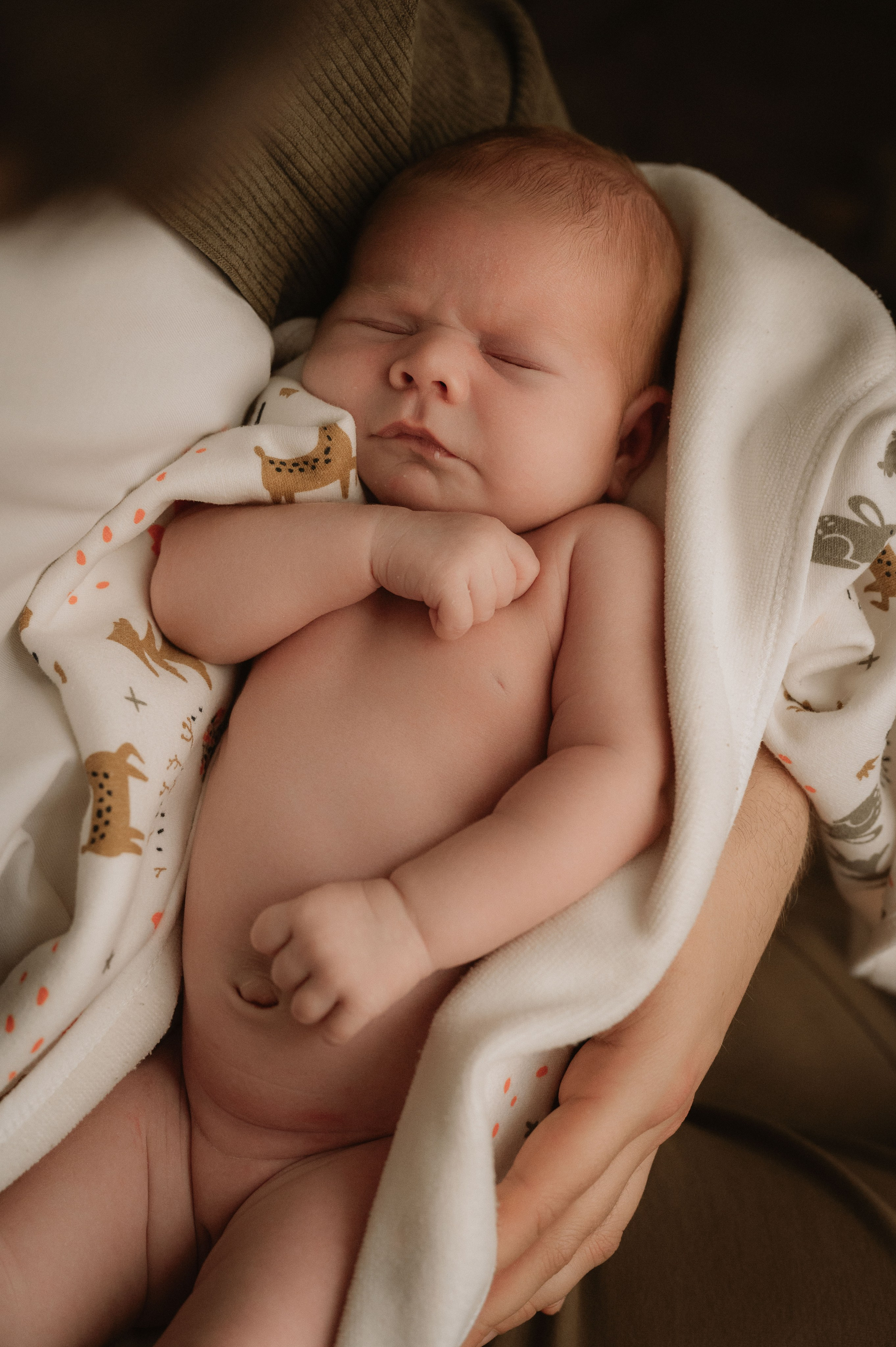 Лизавета, Никита и Мирослава. Фотограф беременности и семьи, домашние съемки, Ньюборн