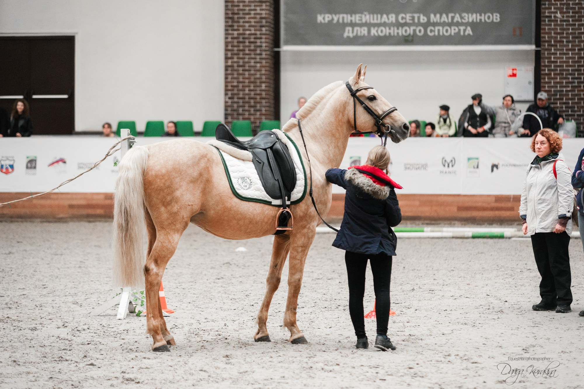 8-я международная выставка Конная Россия. Конный фотограф Куракина Дарья • Фотосессии с лошадьми