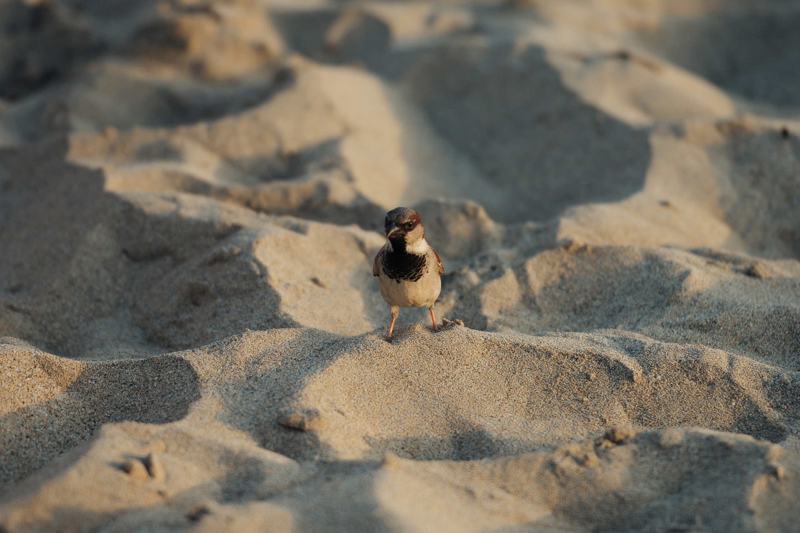 Girls weekend. Photo & Video production, in Bishkek, Kyrgyzstan