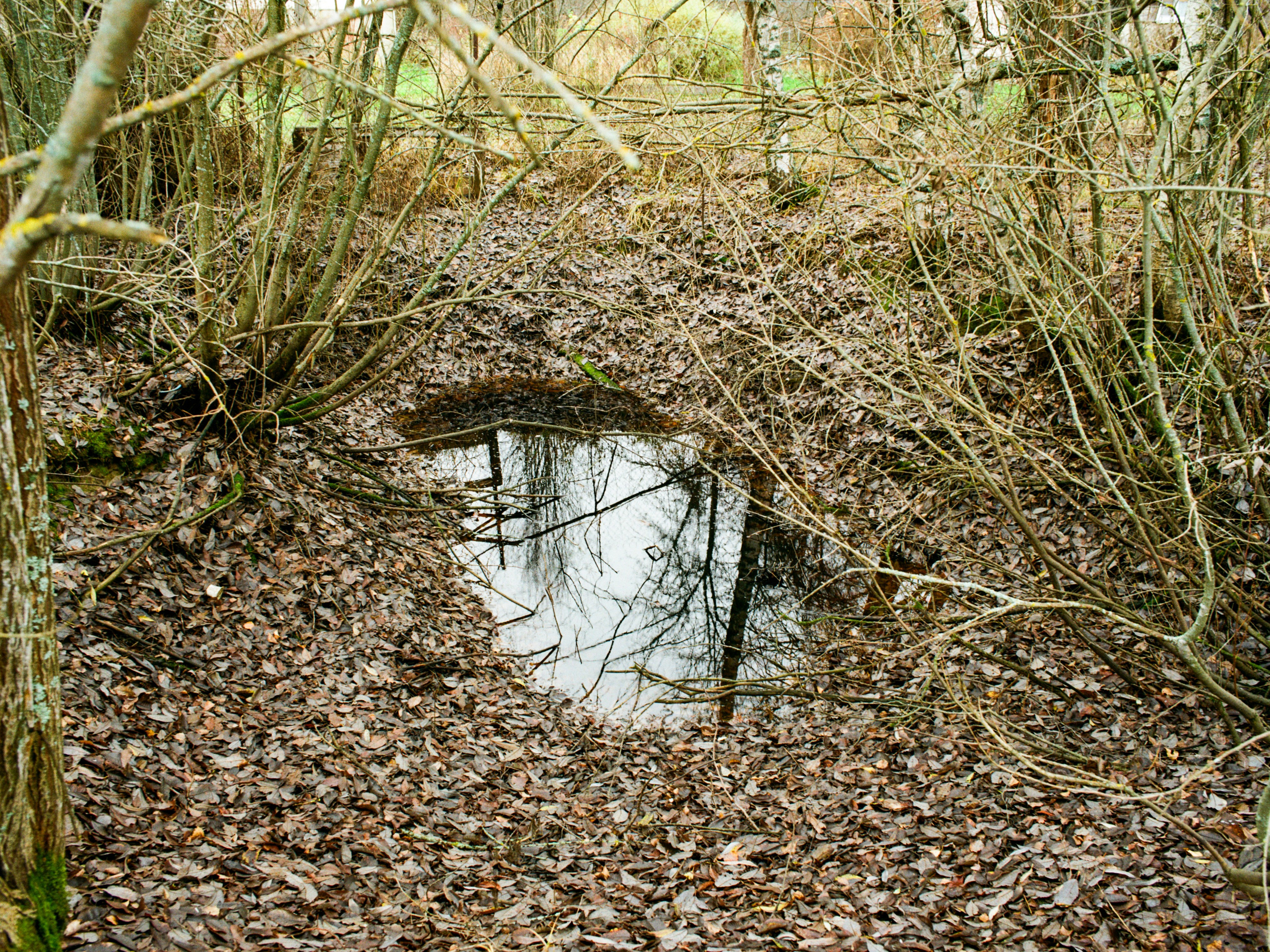 Roadtrip. Maria Abdullaeva