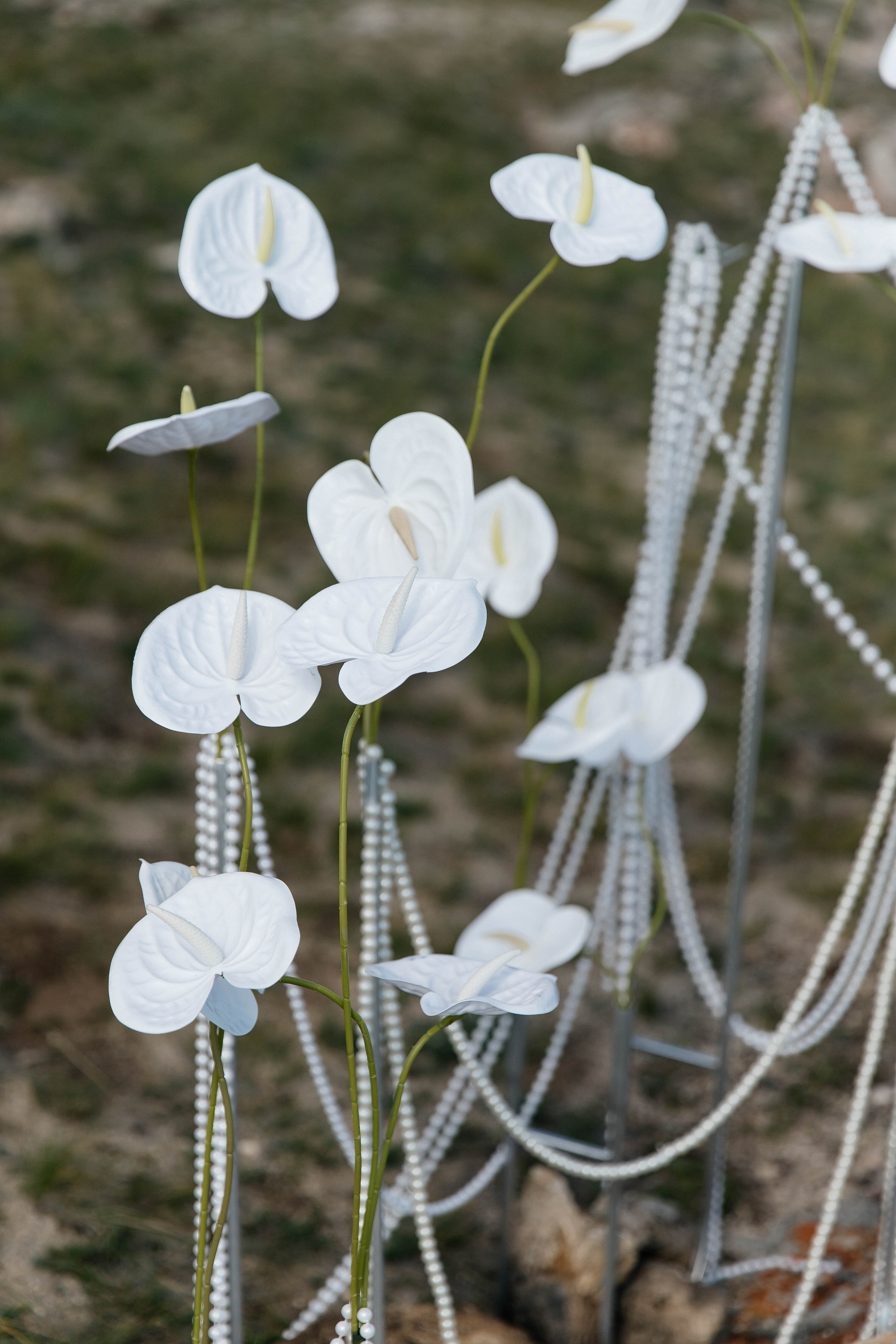 Свадебная съемка Байкал. Главная