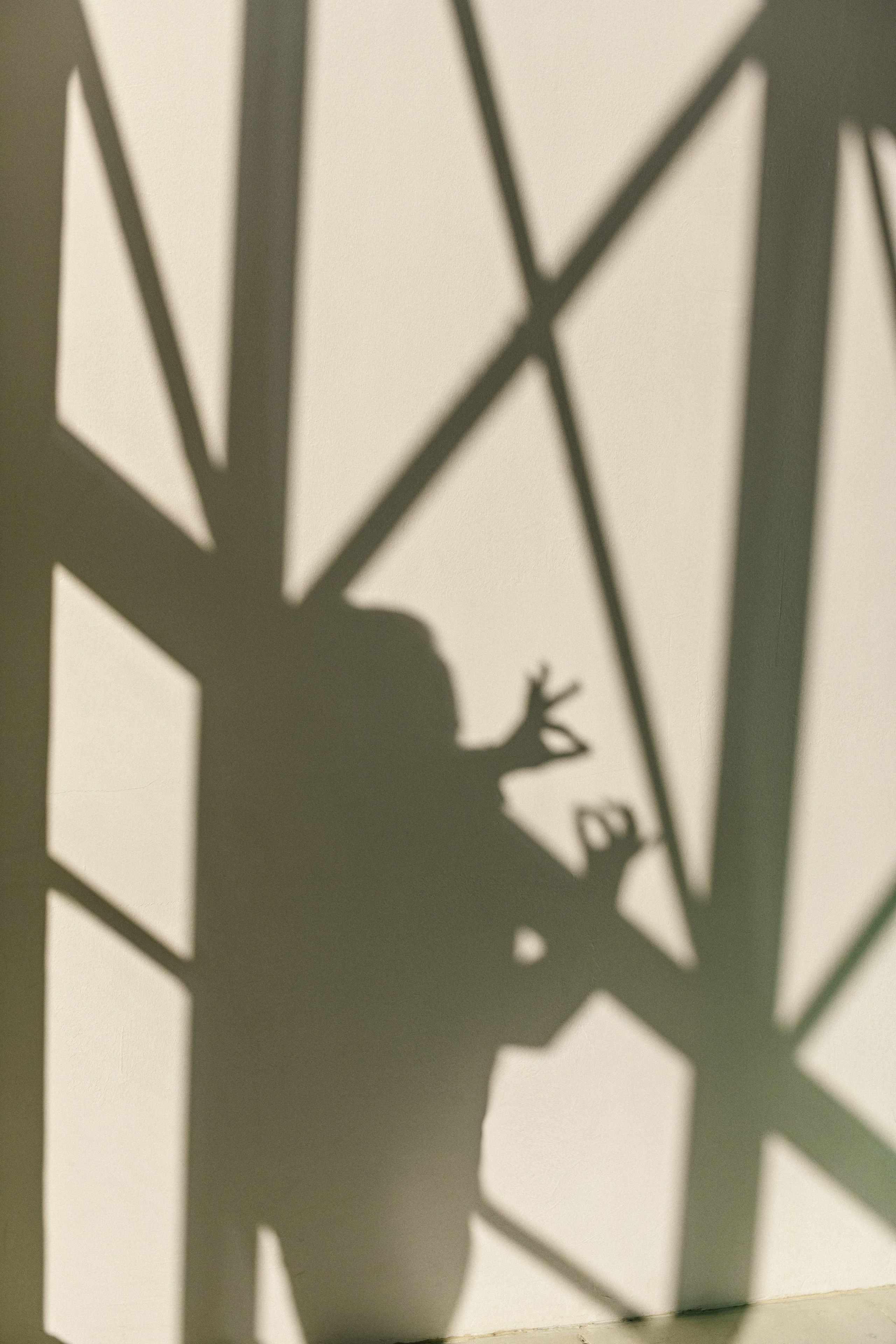 Коуч. Свадебный фотограф в Санкт-Петербурге София Шубик