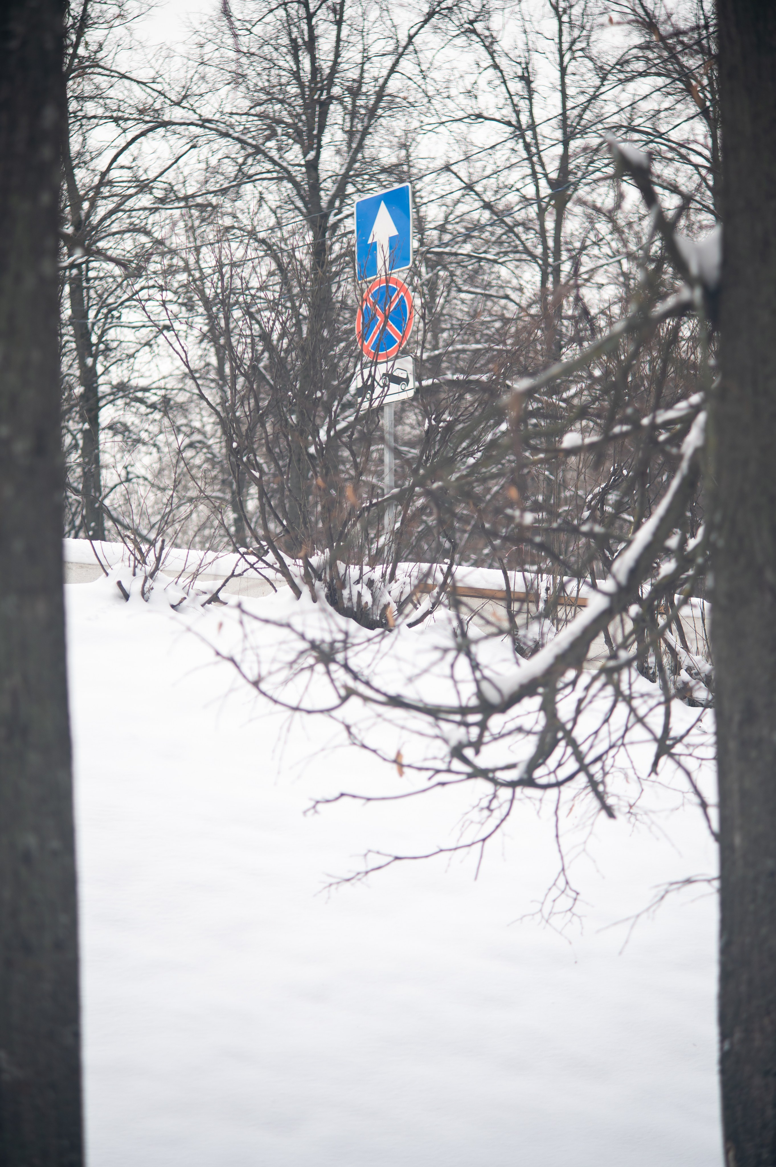 20231126 Смотровая. Дмитрий Ремизов. Фотография, как хобби