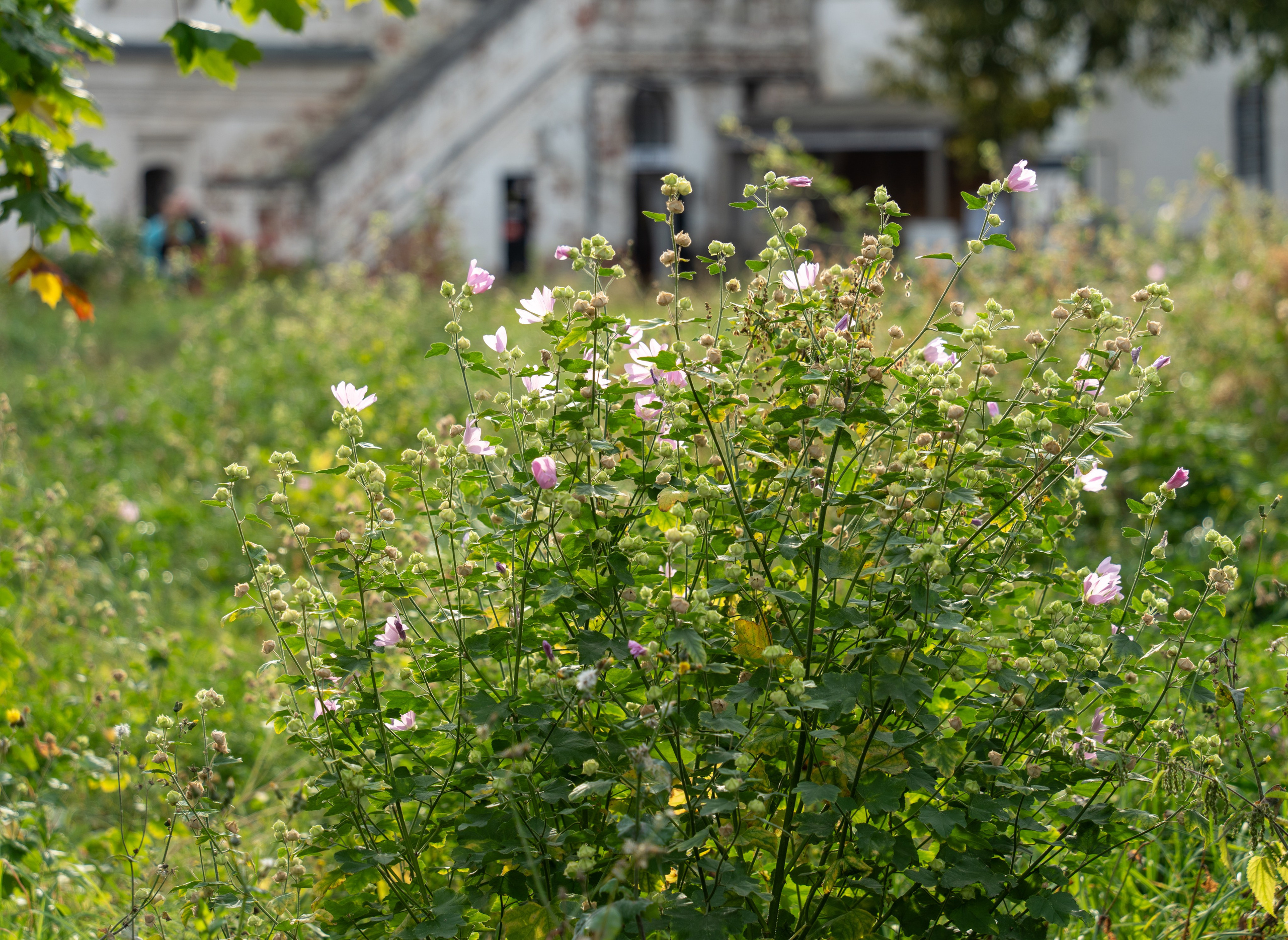 20250921 Таганка-Курская. Дмитрий Ремизов. Фотография, как хобби