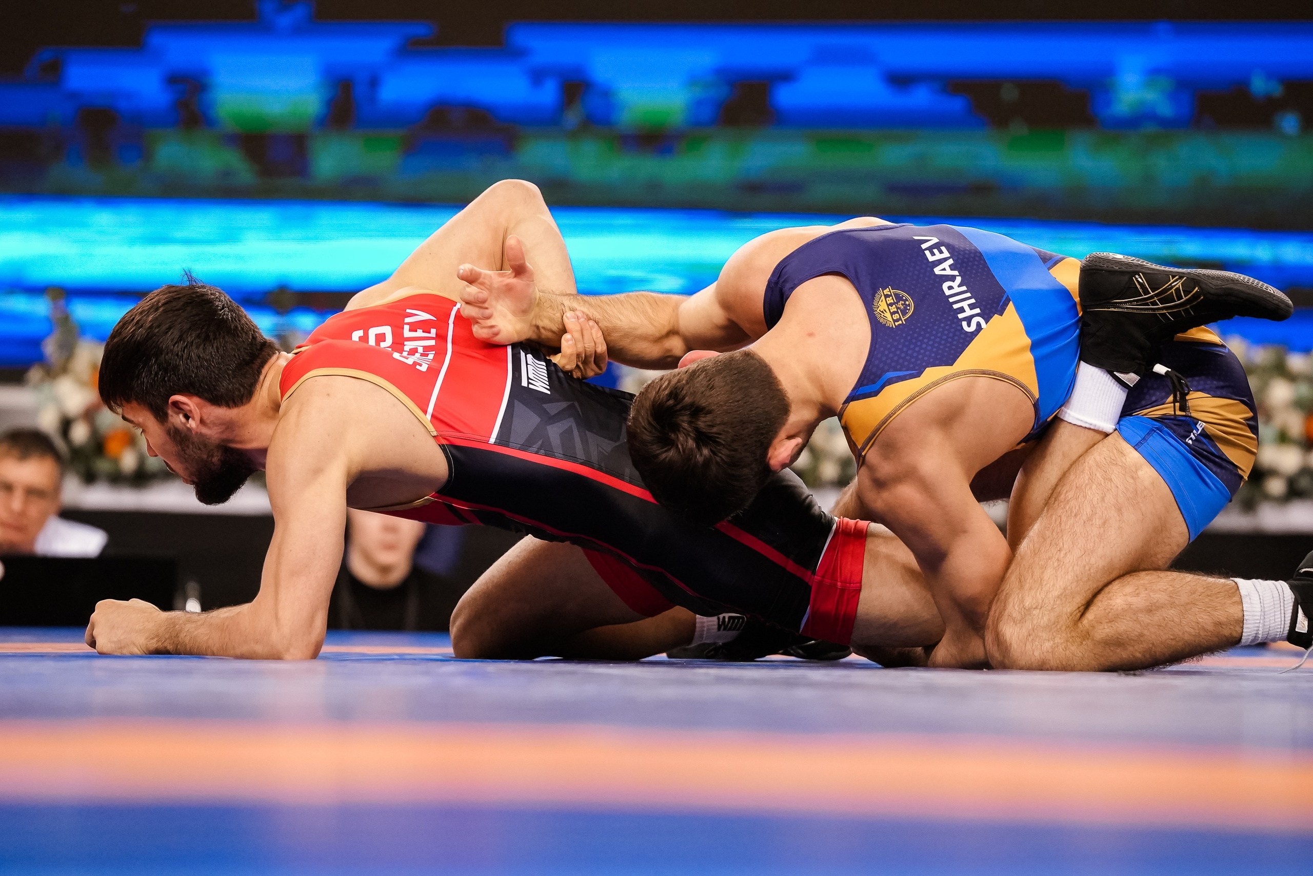 Кубок Ивана Ярыгина 2024 фото / Ivan Yarygin Cup 2024 photos. Фотограф Анна Герман. Красноярск