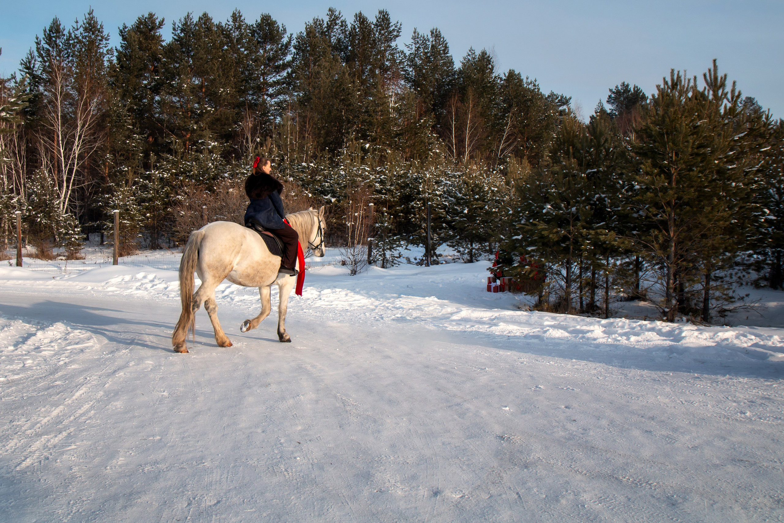 Анастасия с семьей. Участники «Новогоднего фотопроект с лошадью». Фотограф в Шелехове, лучшие выпускные альбомы в Шелехове