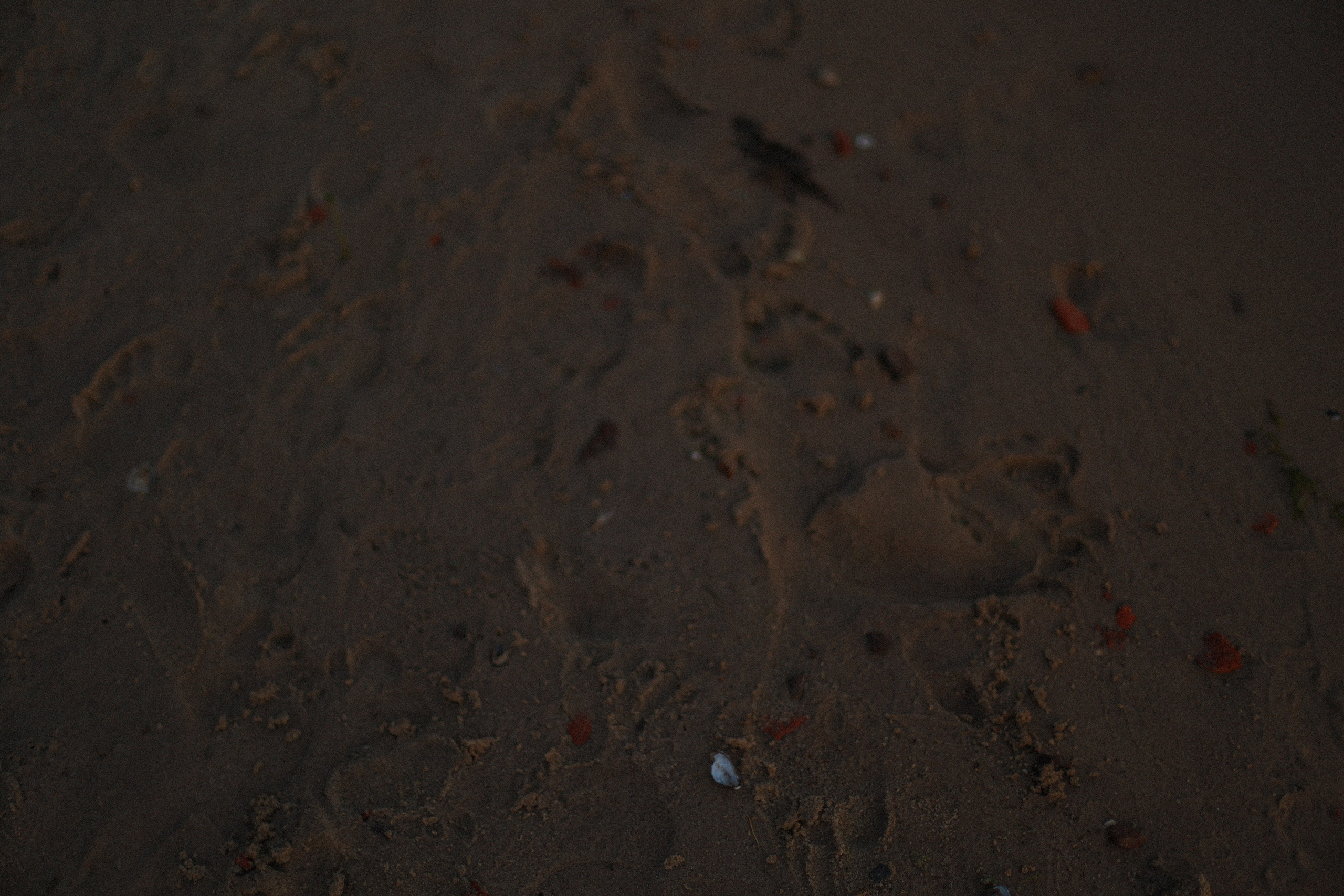 Не отпускай мою руку. Фотограф — Ольга Косолюкина