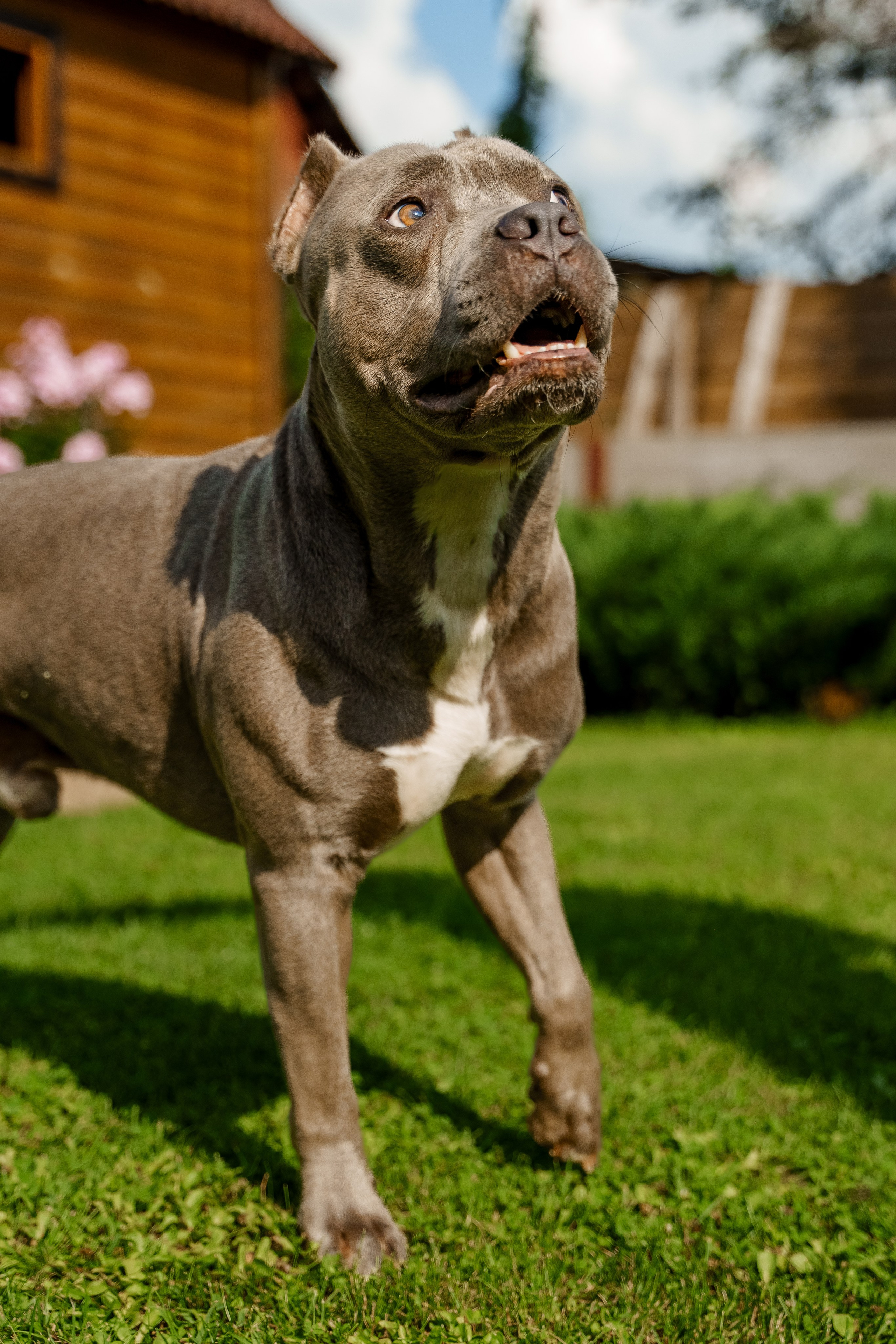 Ева 1 год. Станислав Тюрин Фотограф Москва. Индивидуальные и семейные фотосессии;