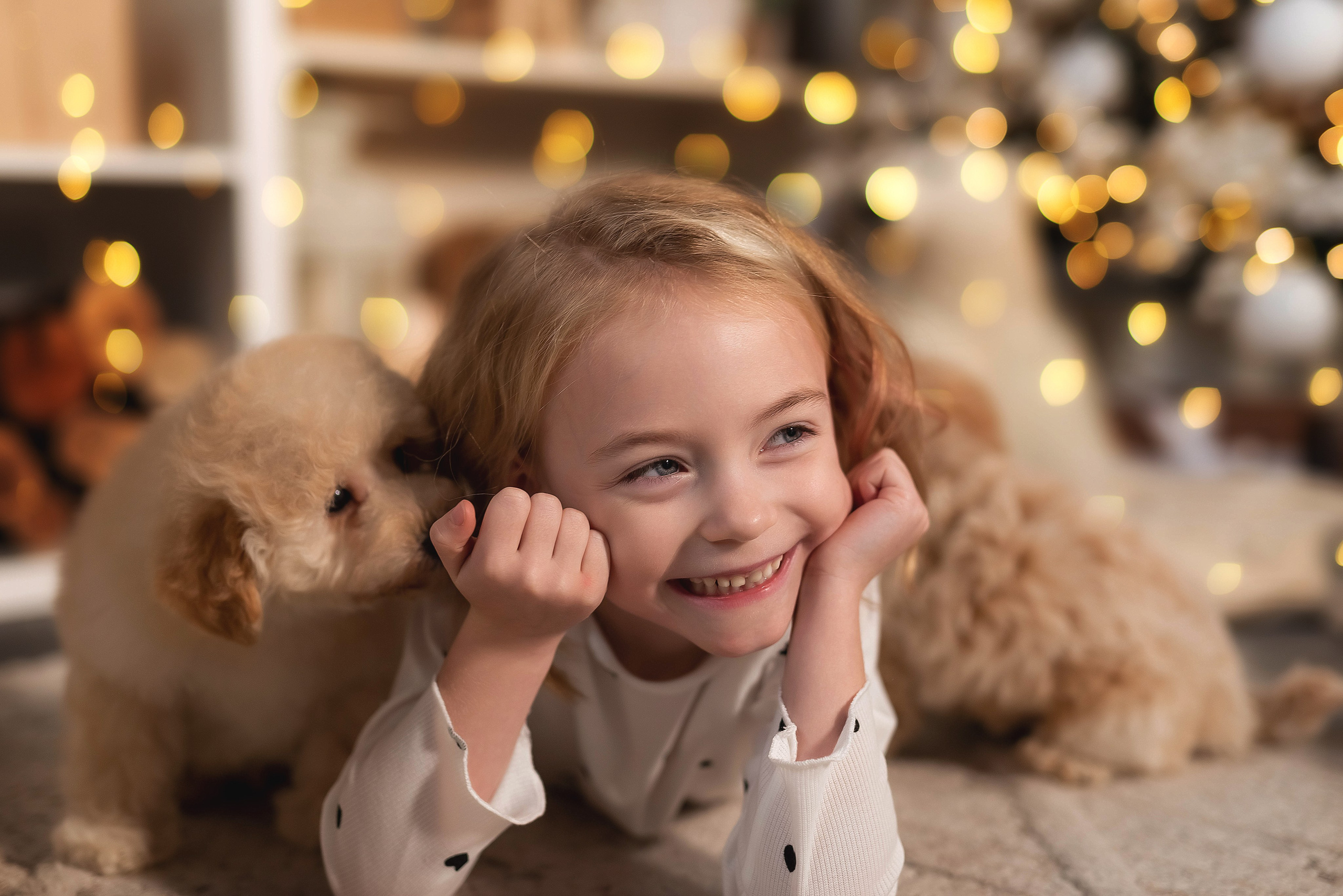 Фотосессия с бишонами. Семейный, детский фотограф в Воронеже Анна Никитина