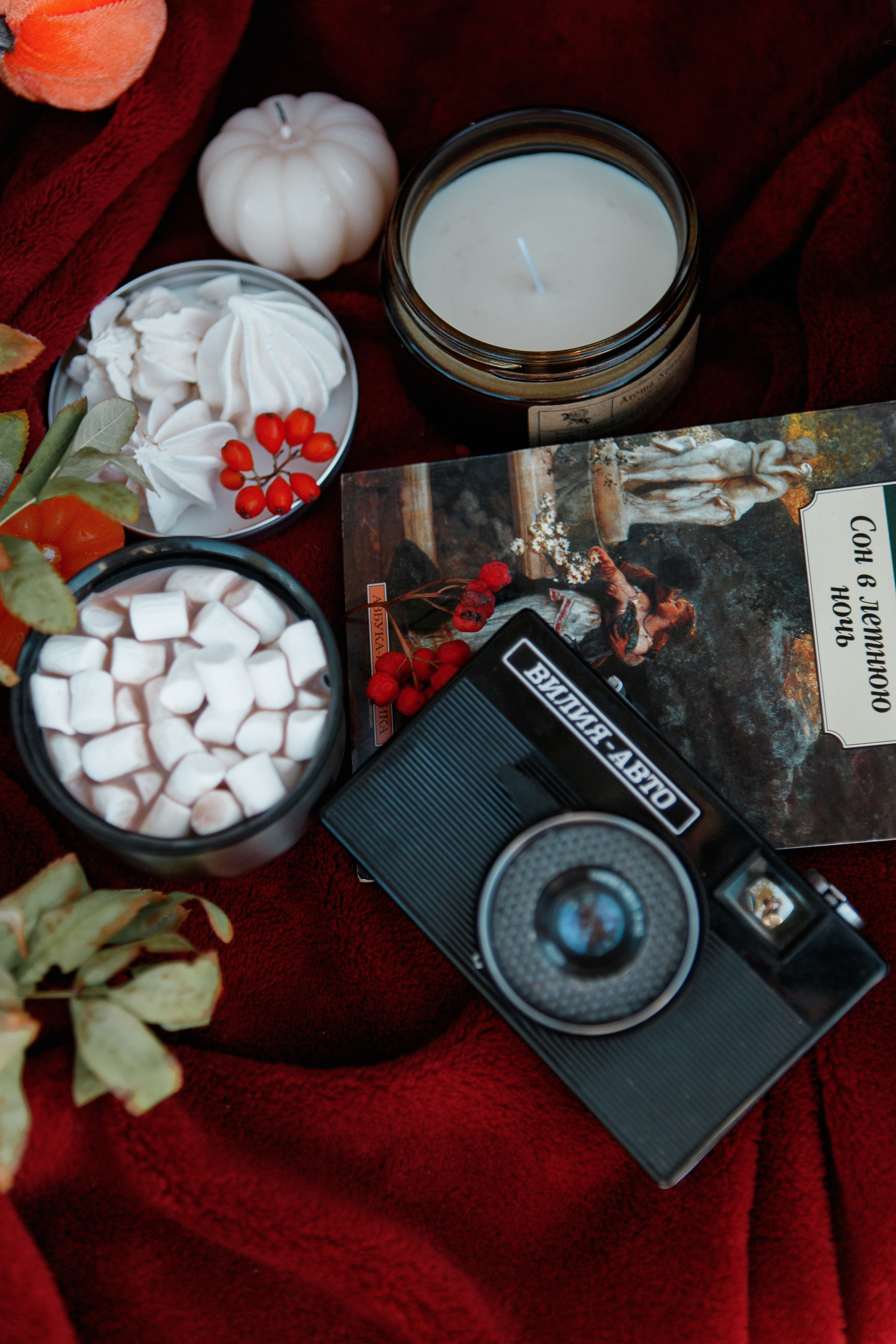 Осенняя съемка для Екатерины. Фотограф Анастасия Кулешова