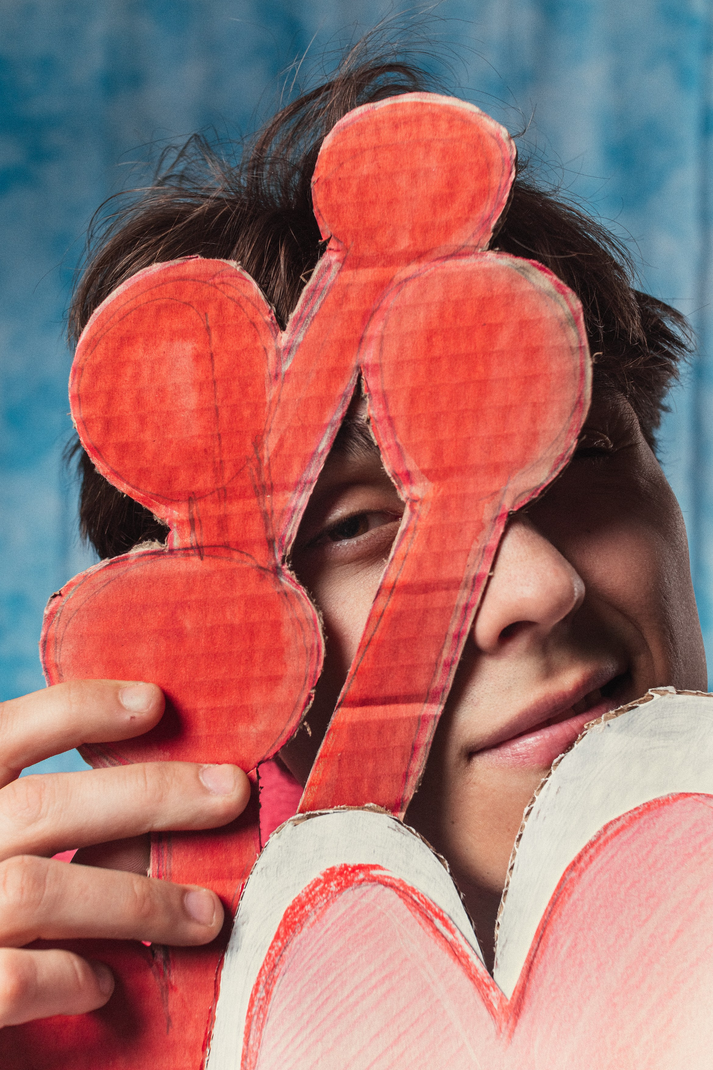 Картонные цветы. Светлана Аброщикова