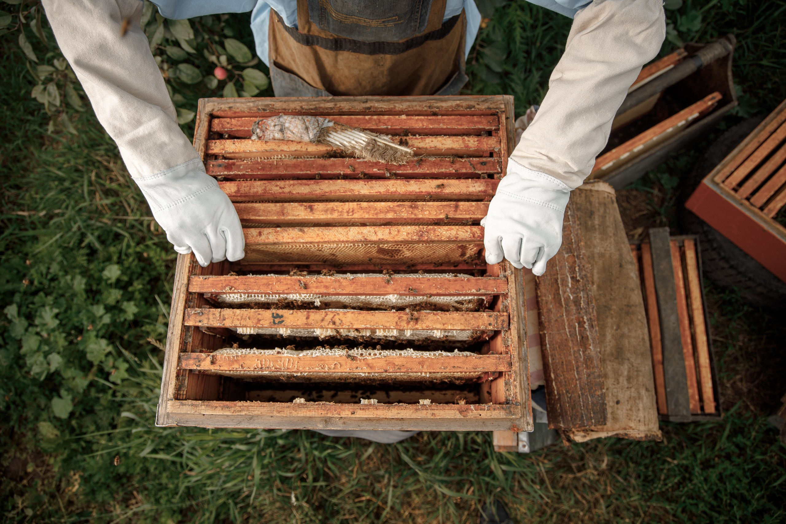 Верность делу. Фотограф в Красноярске Нерозя Александр. Пейзаж, природа, портрет