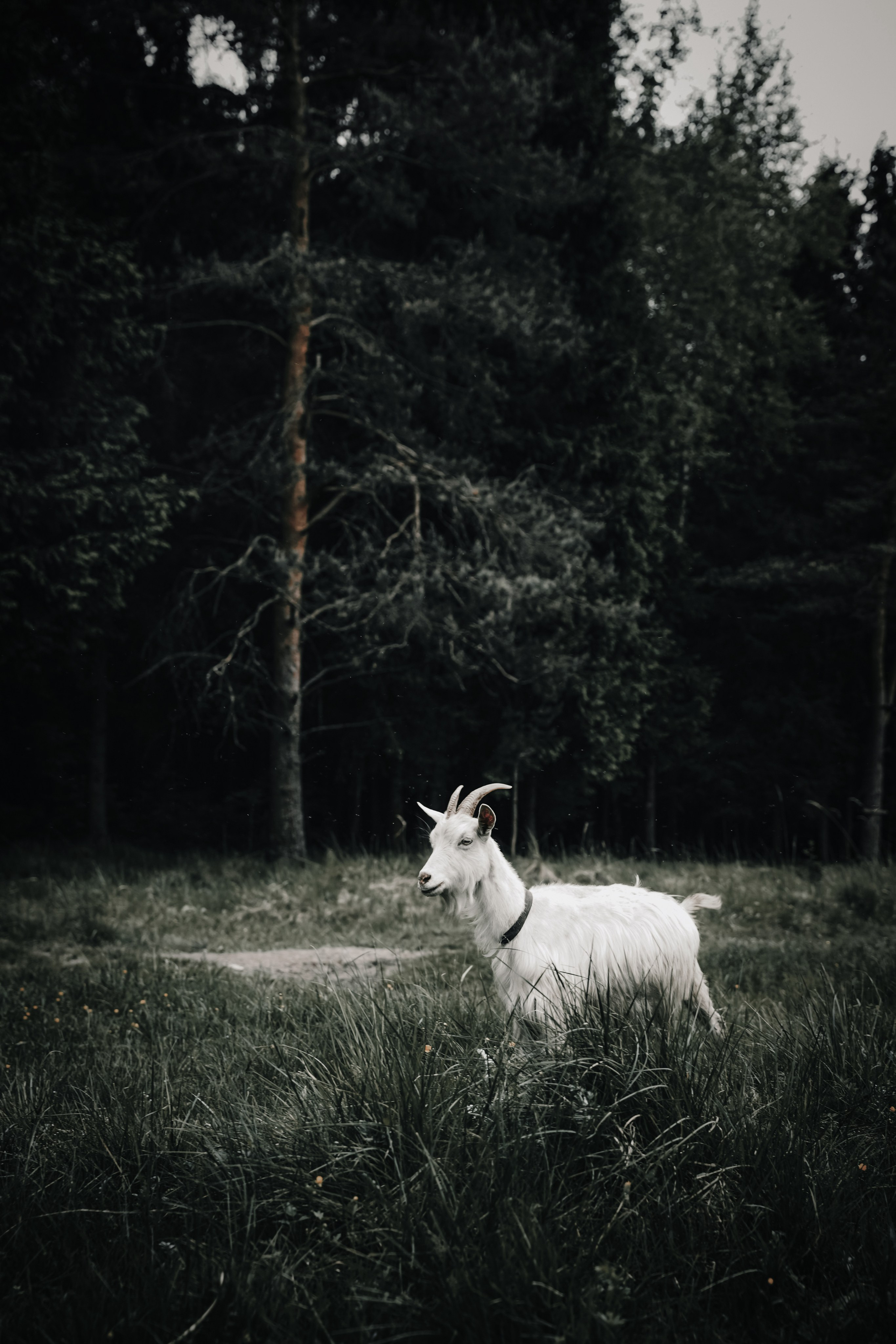 Театр SubRosa *персонажи. Портретный фотограф в Смоленске и Москве Мария Громова