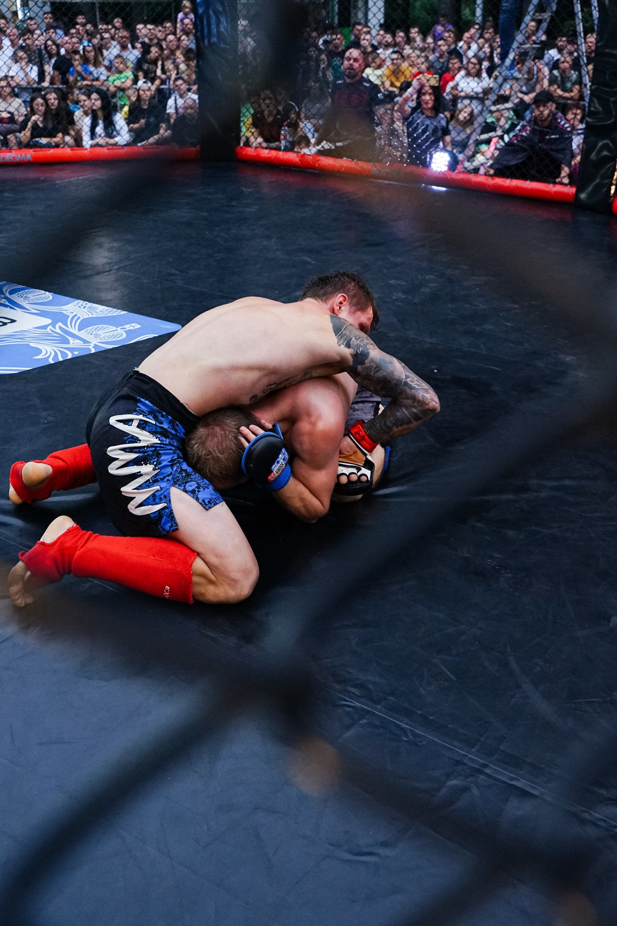 Вечер боев в ЦПКиО. Фотограф Надежда Погребняк | Рязань | Москва