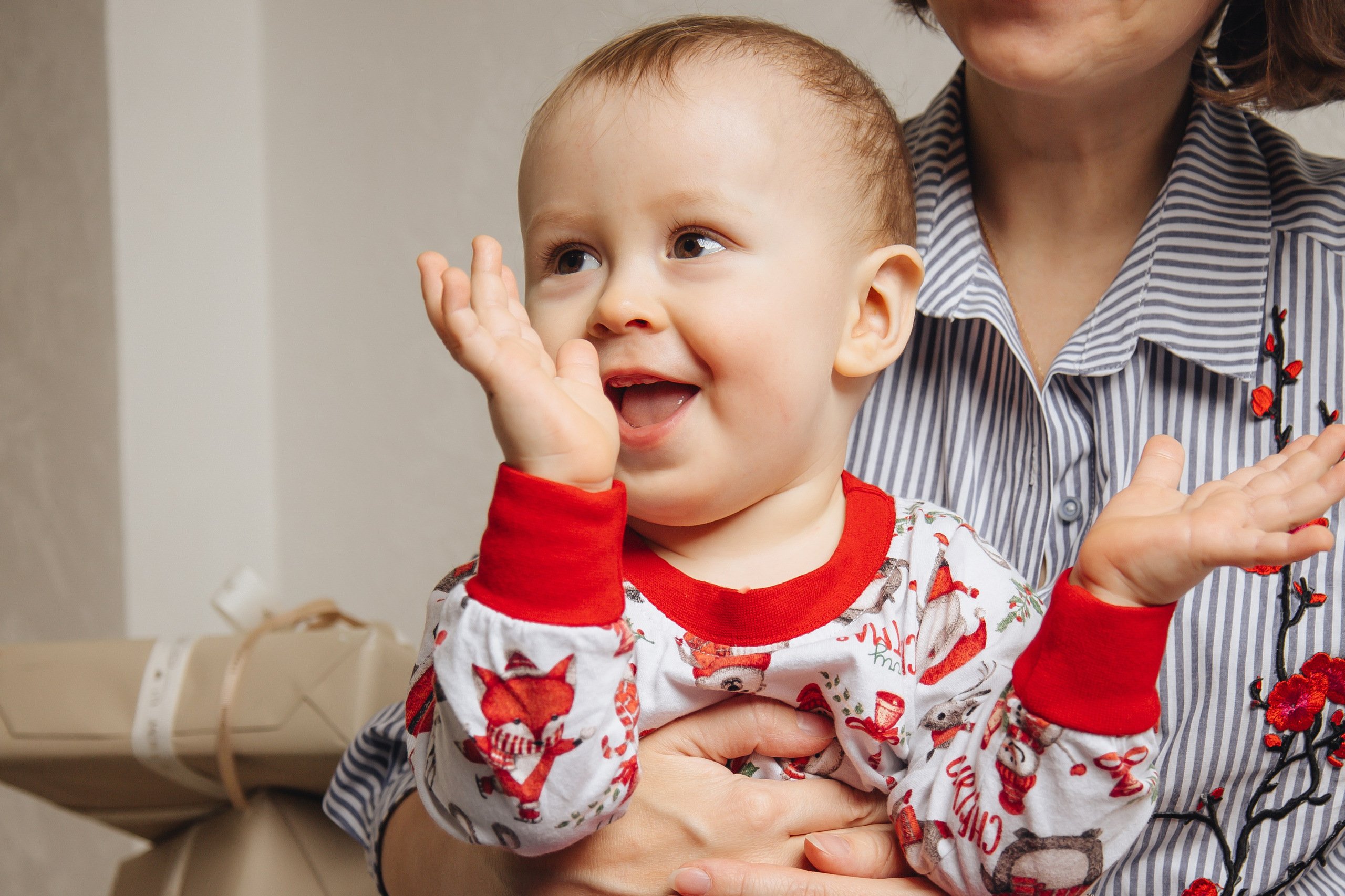 Норд и его семья