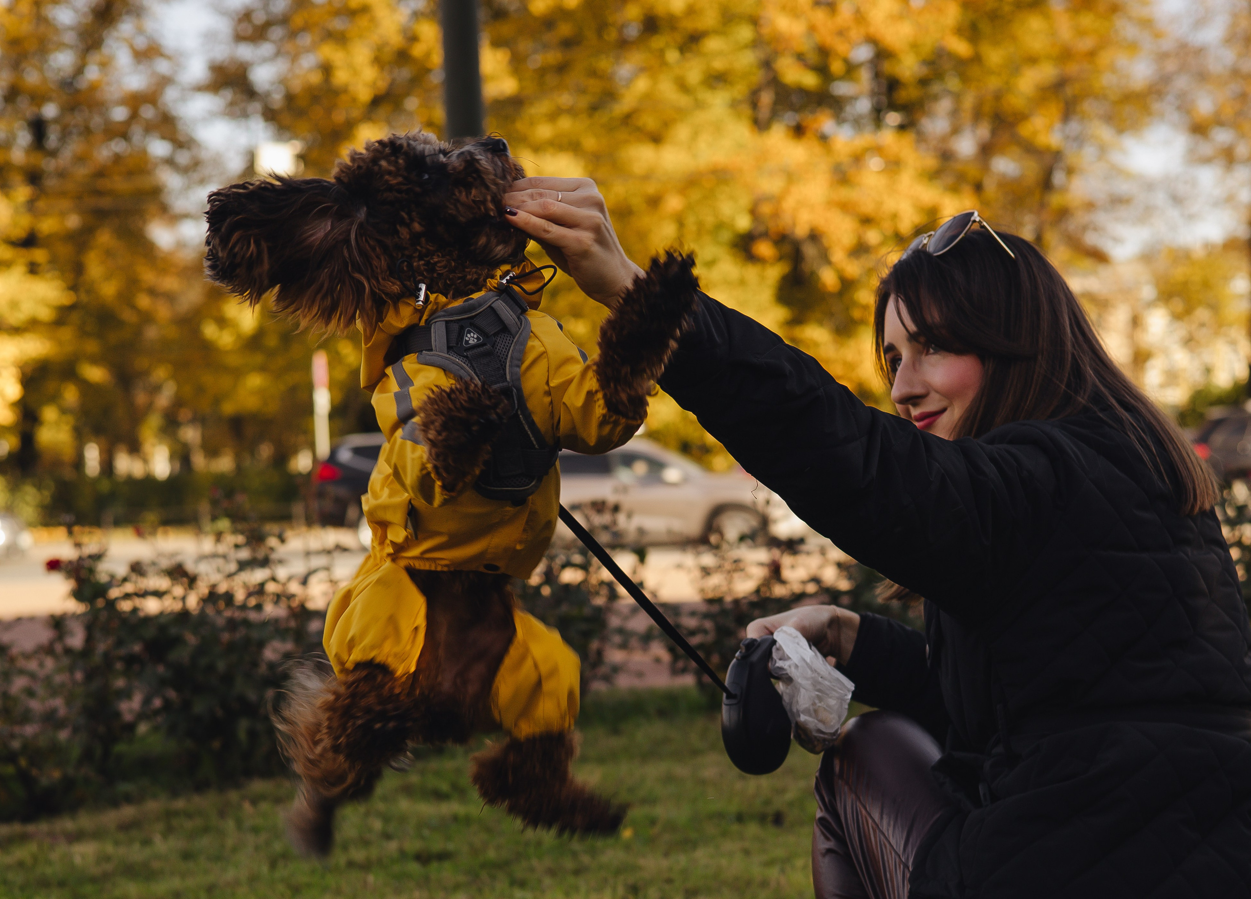 Летающих собачек видели? Я с одной знакома))