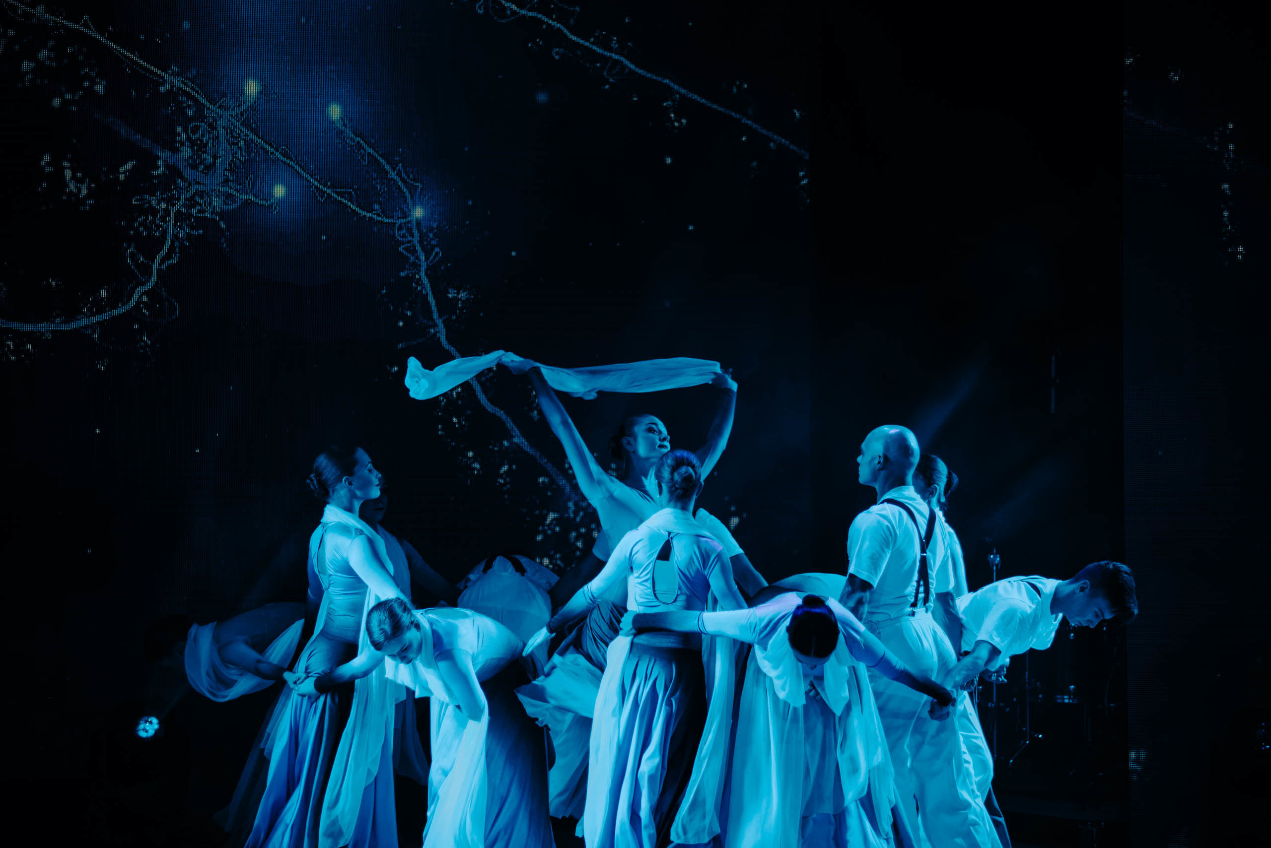 Гала концерт. Фотограф в Москве Илья Максимов