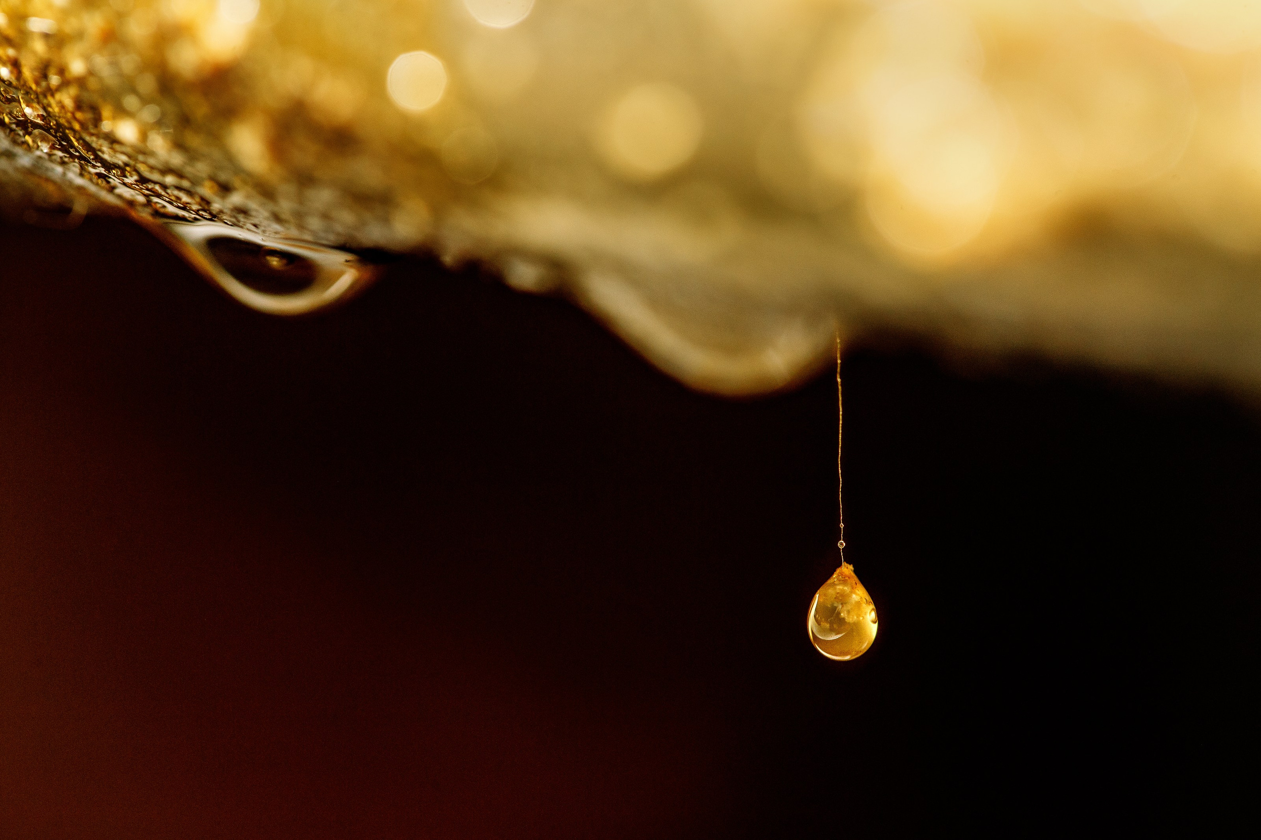 Портфолио. Фуд фотограф Москва, рекламный москва, фотограф предметный, Фотограф Алтай фуд фото реклама Анатолий Болыдрев