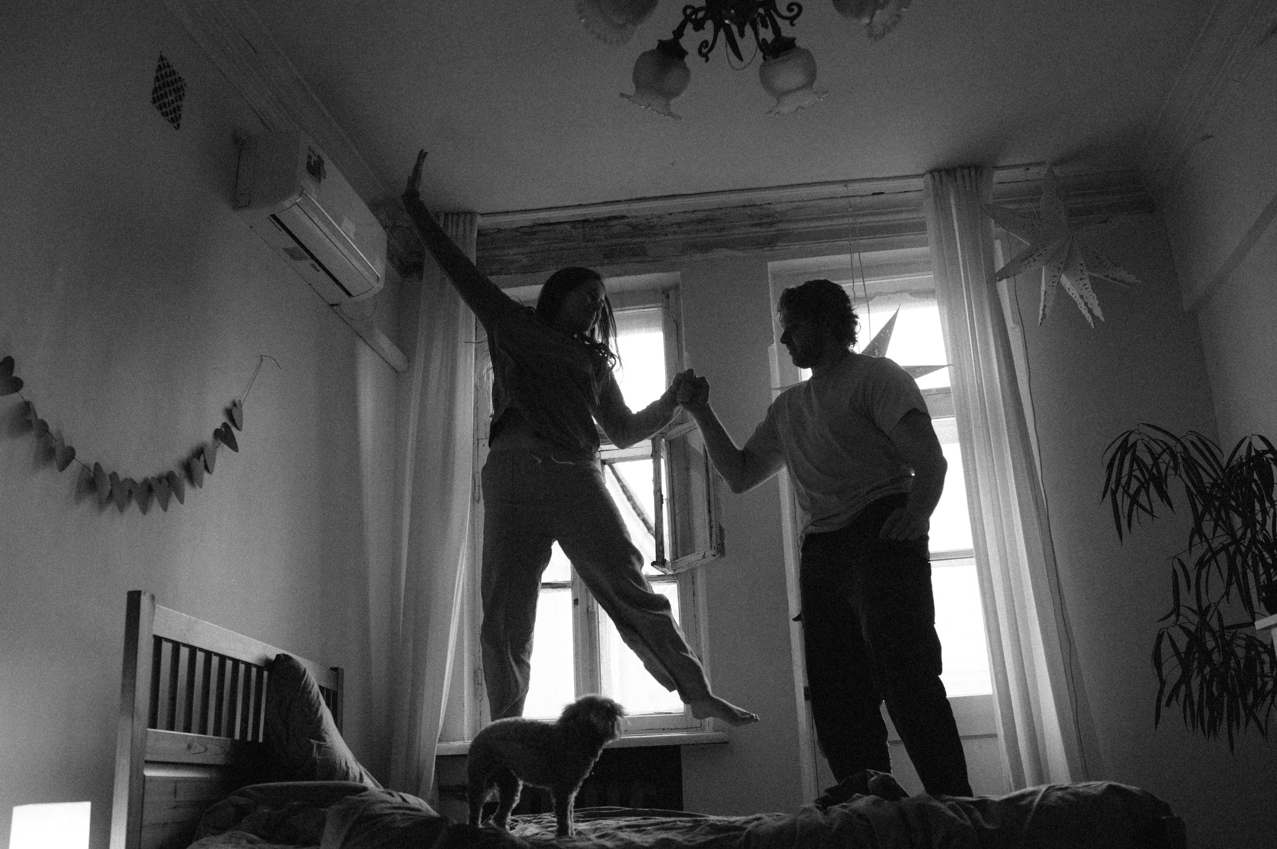 Ання и её кудрявая команда. Фотограф анималист в Москве Ольга Агушева