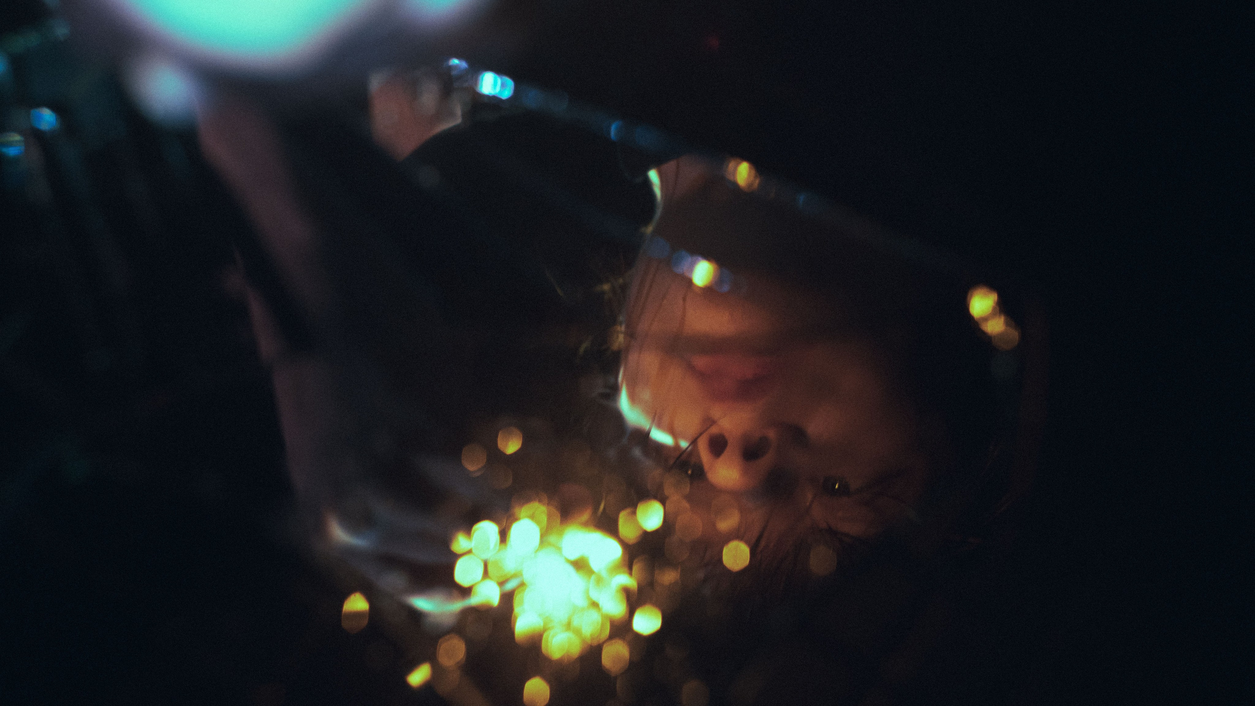 ПОЛИНА. M8U — фотограф Санкт-Петербург