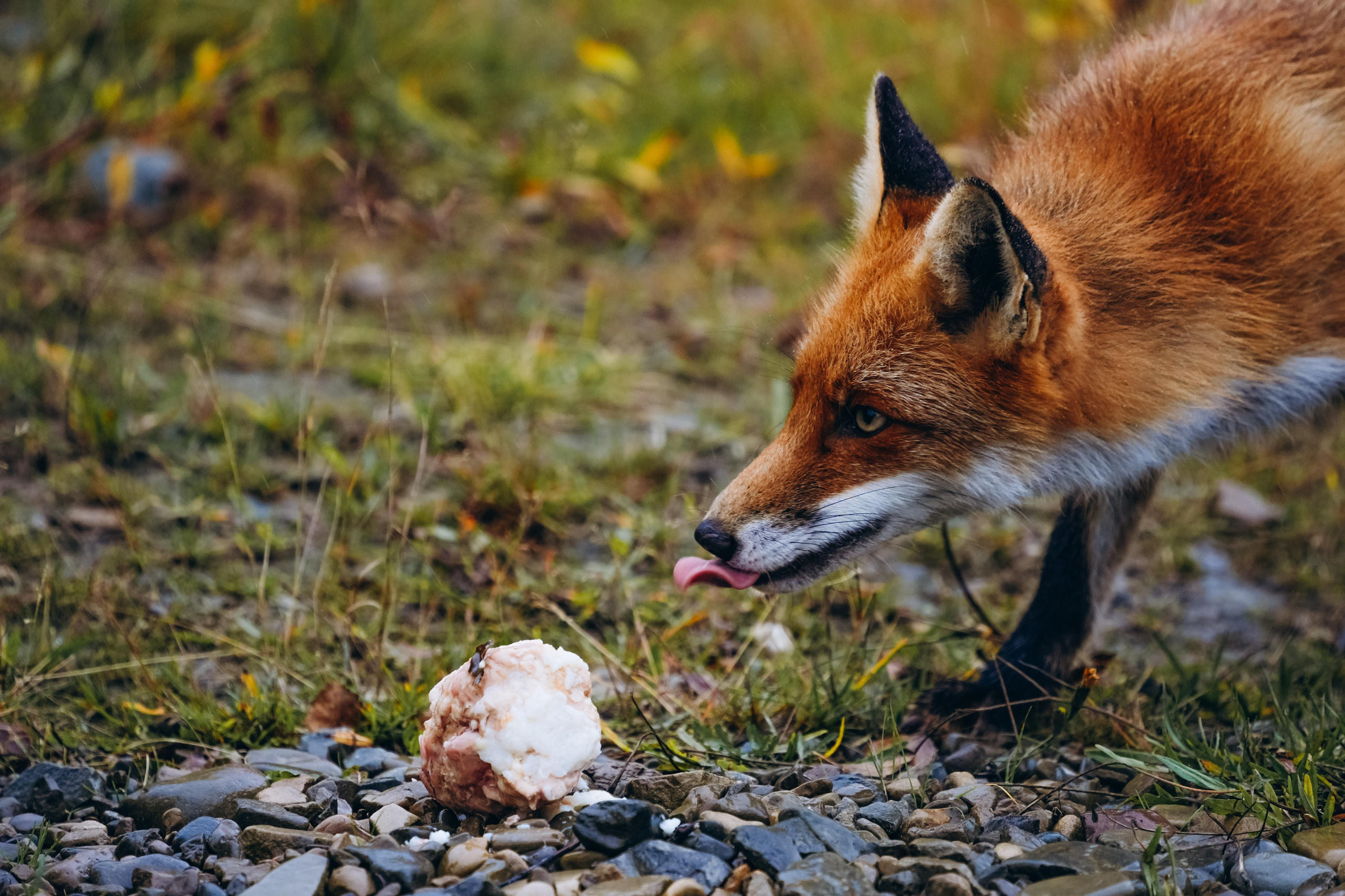 СЕВЕР. Event фотограф Степанова Александра