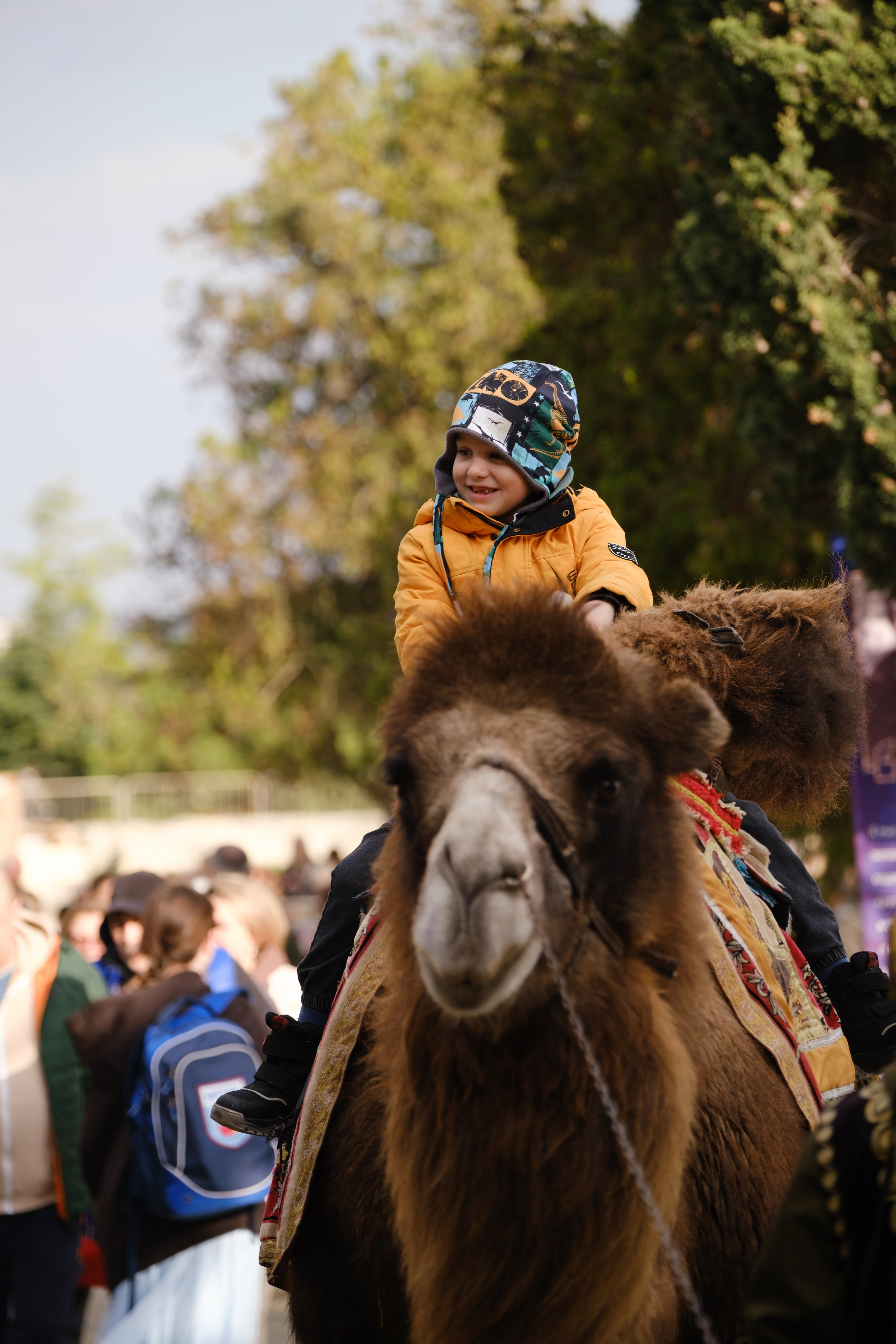 Новогодний репортаж из парка «Новый Херсонес» | Фотограф Илья Желдак. Профессиональная фотосъемка в Крыму. Натуральные эмоции и живые кадры. Забронируйте дату прямо сейчас!
