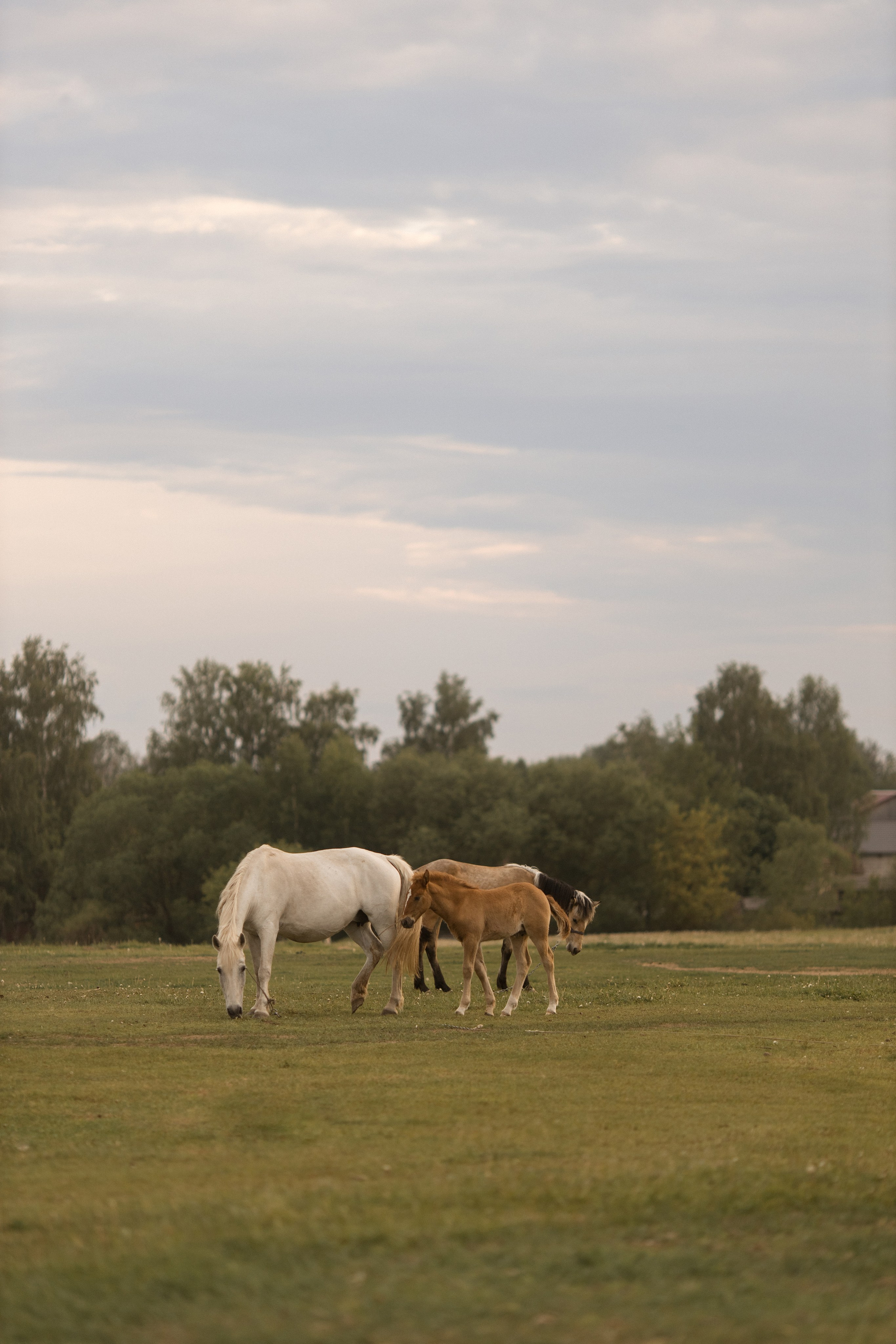 Индивидуальные уличные серии