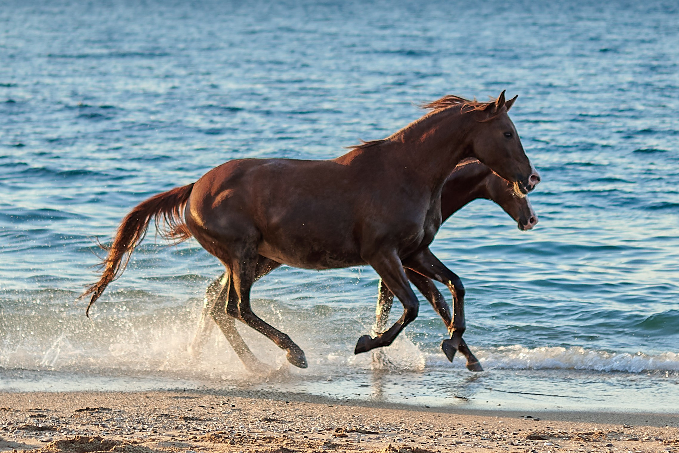 Галактика и Кассиопея. Фотограф в Севастополе
