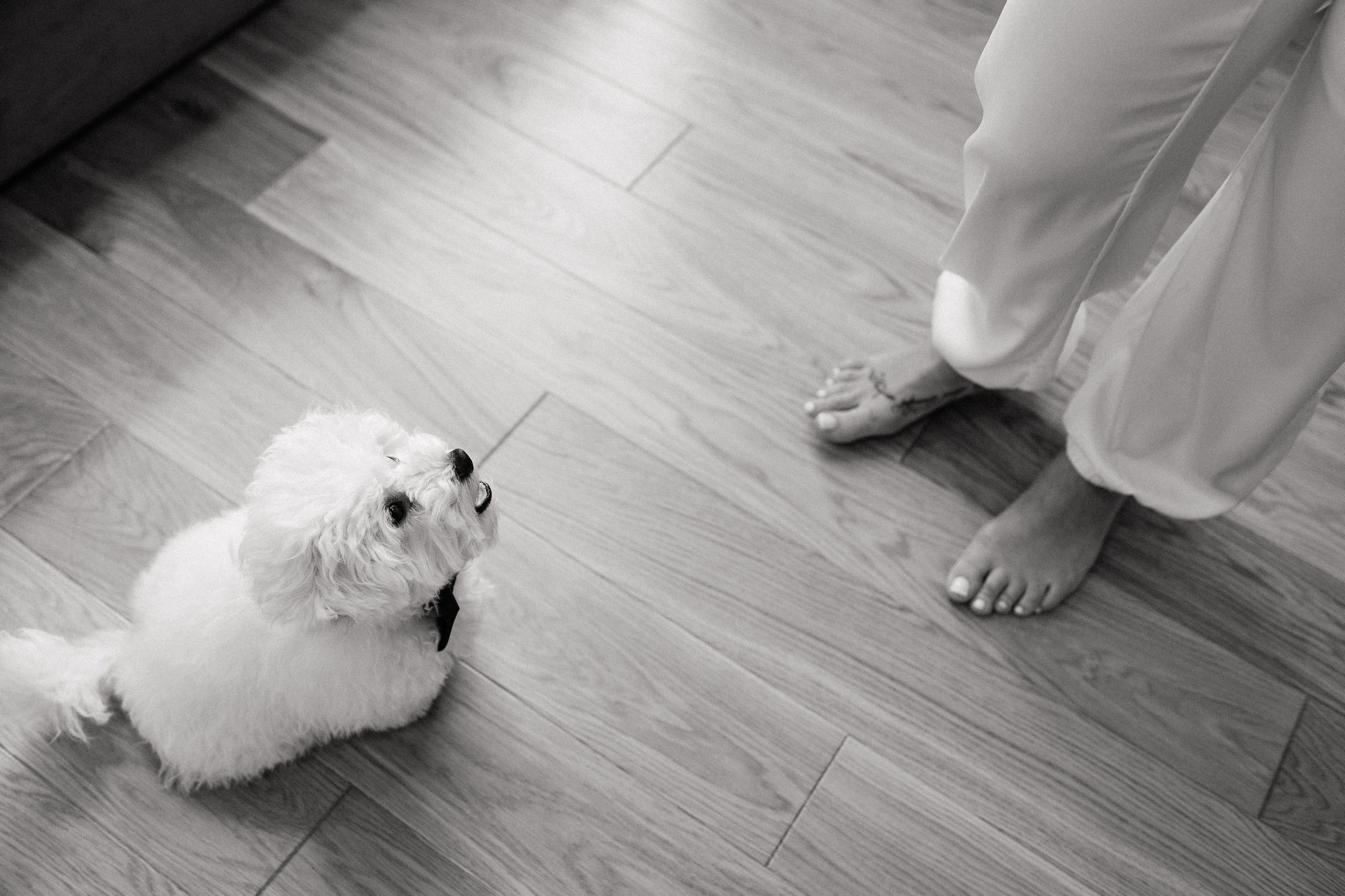 Давай навсегда. Алина Посторонка