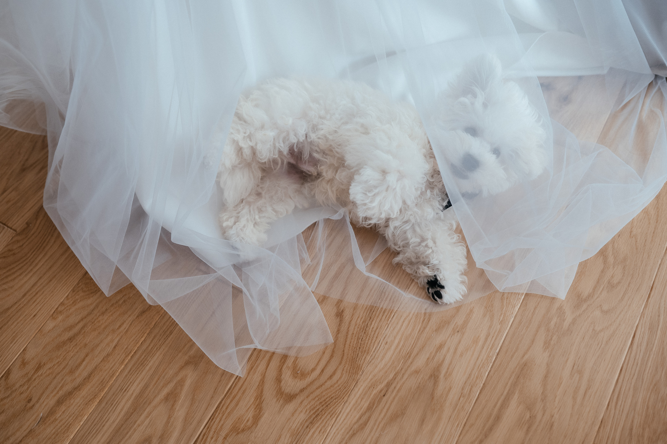 Давай навсегда. Алина Посторонка