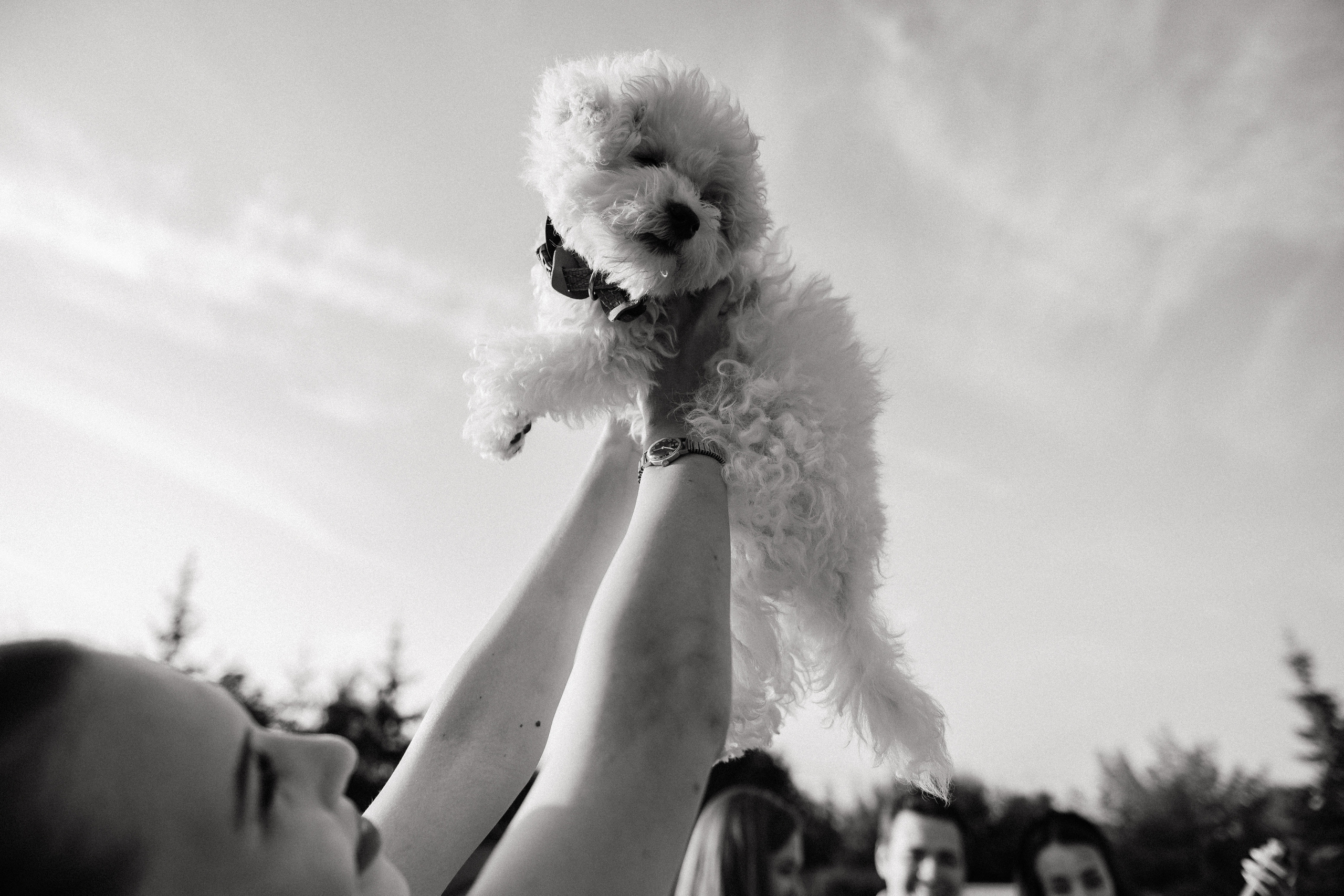 Давай навсегда. Алина Посторонка