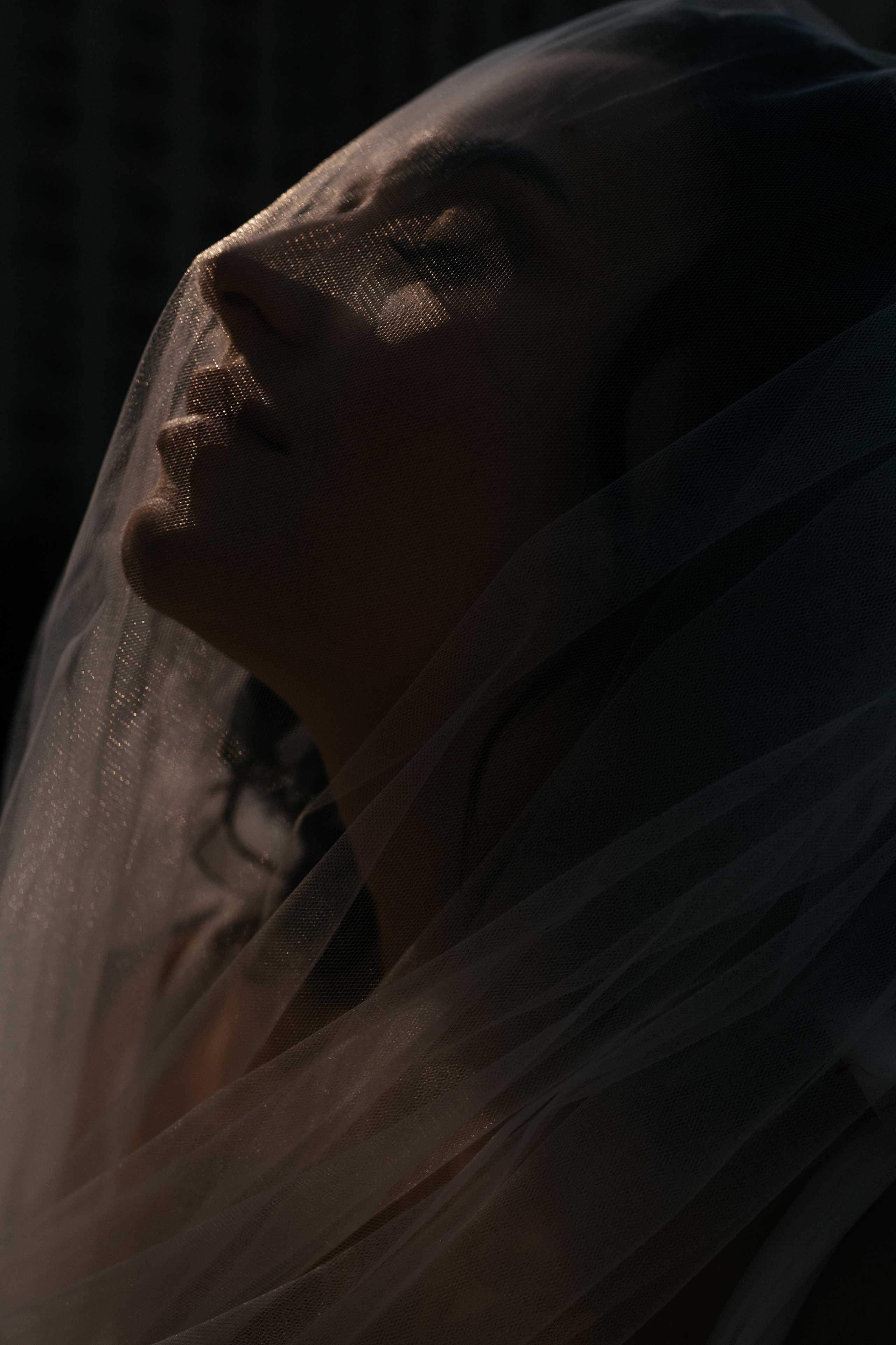 Давай навсегда. Алина Посторонка