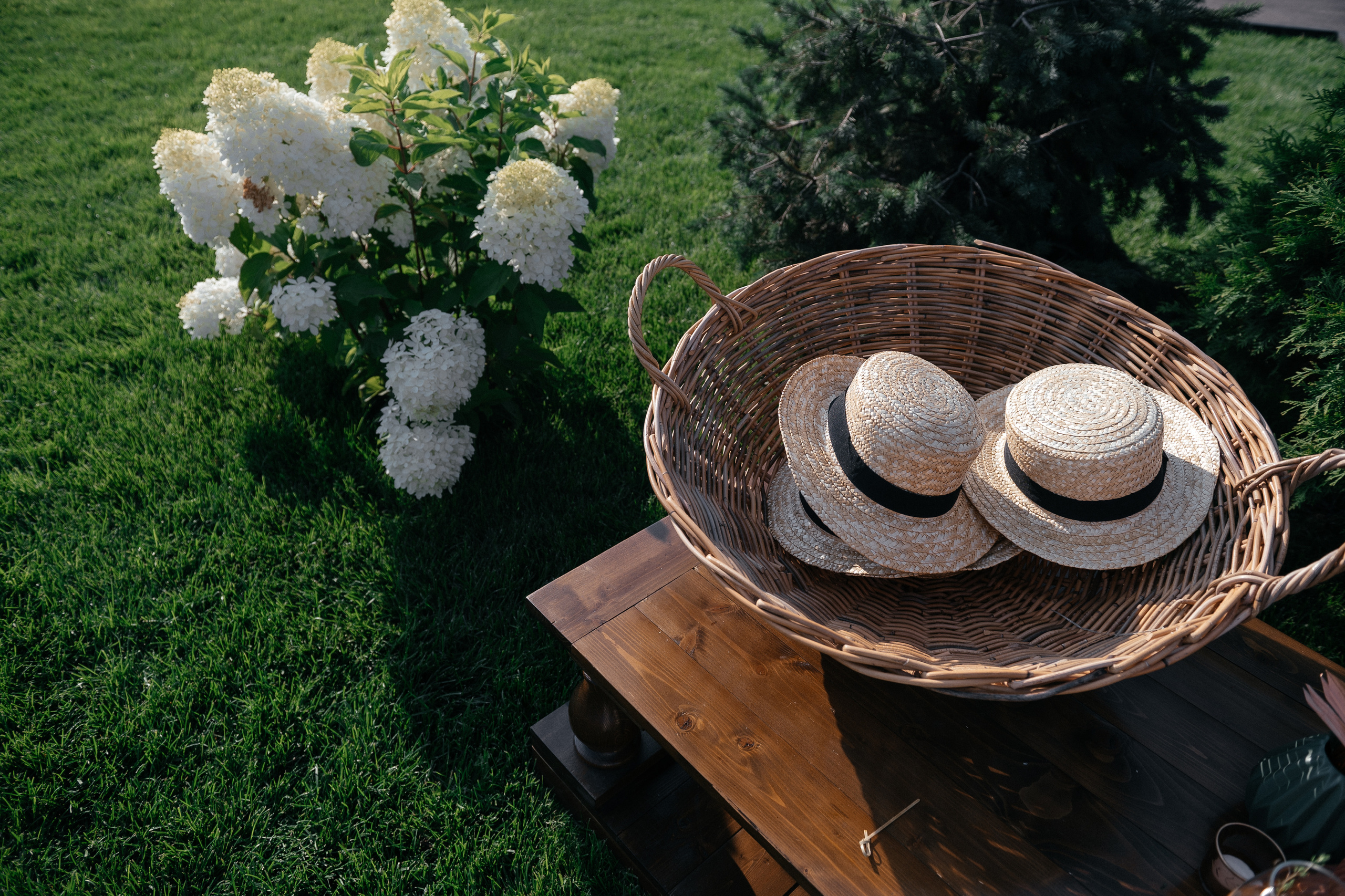 Давай навсегда. Алина Посторонка