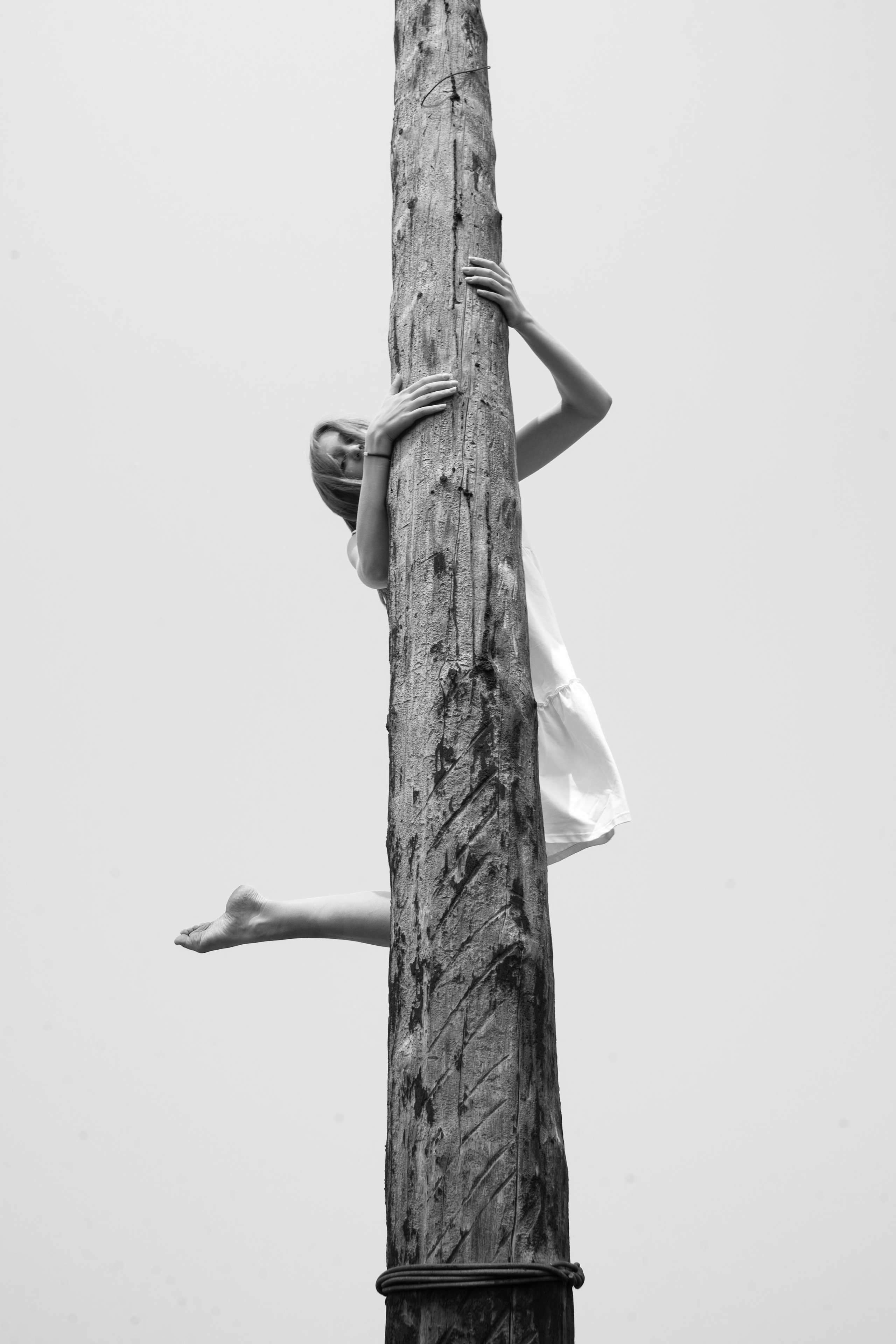 Творчество. Дмитрий Шуйский, фотограф