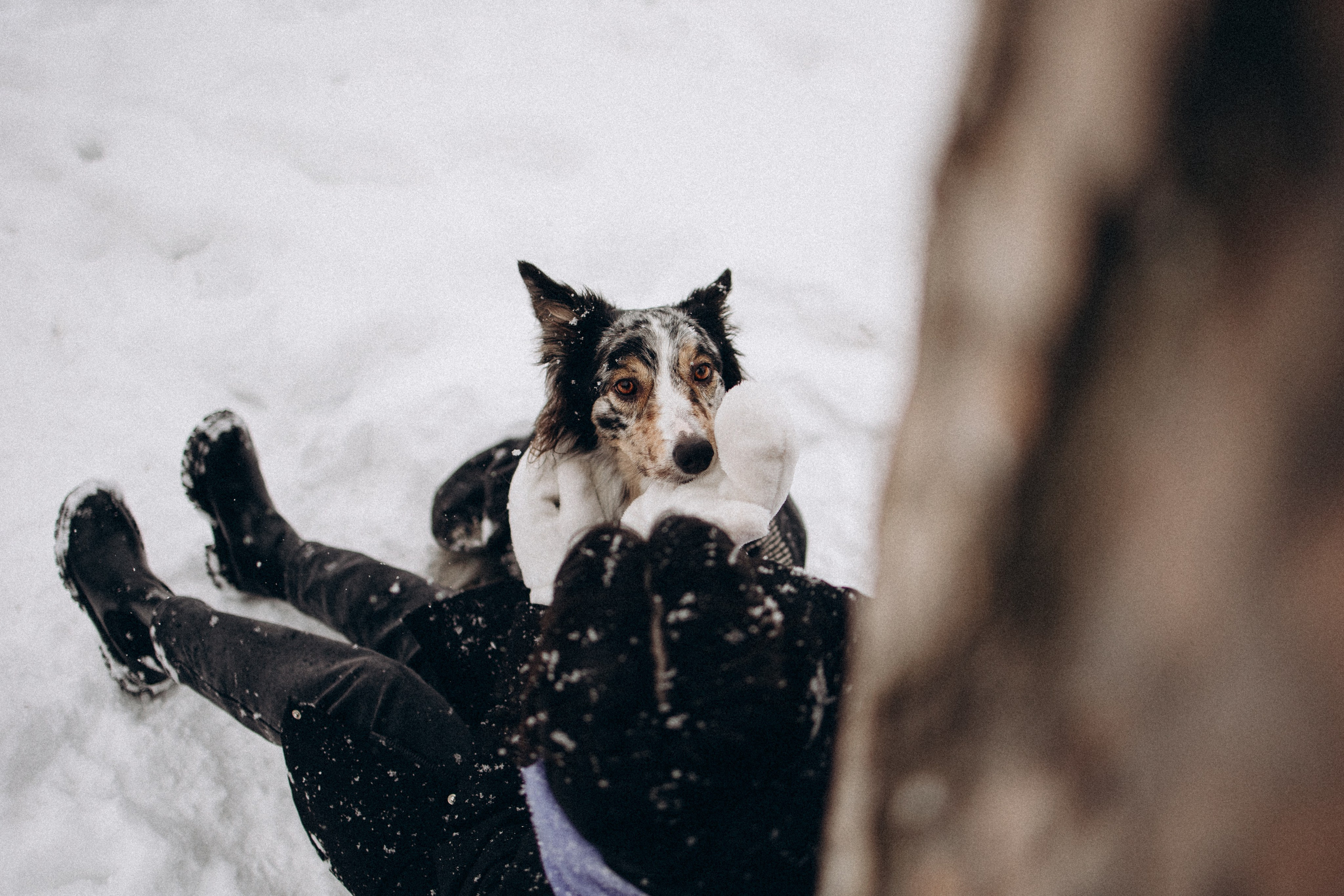 Настя и Тор. Фотораф — анималист Мария Шистка