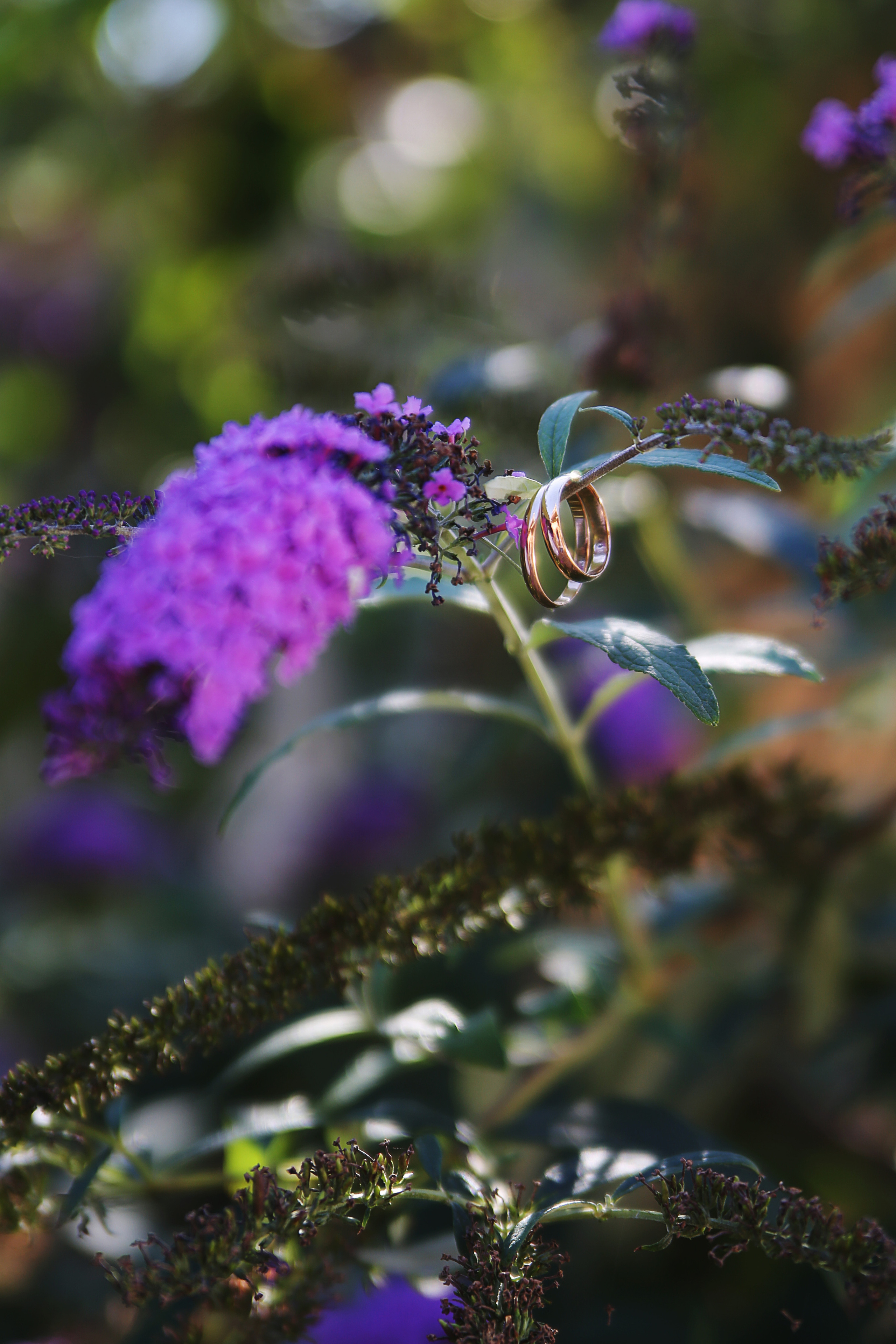 Wedding. Свадебный фотограф Краснодар Марина Зверева
