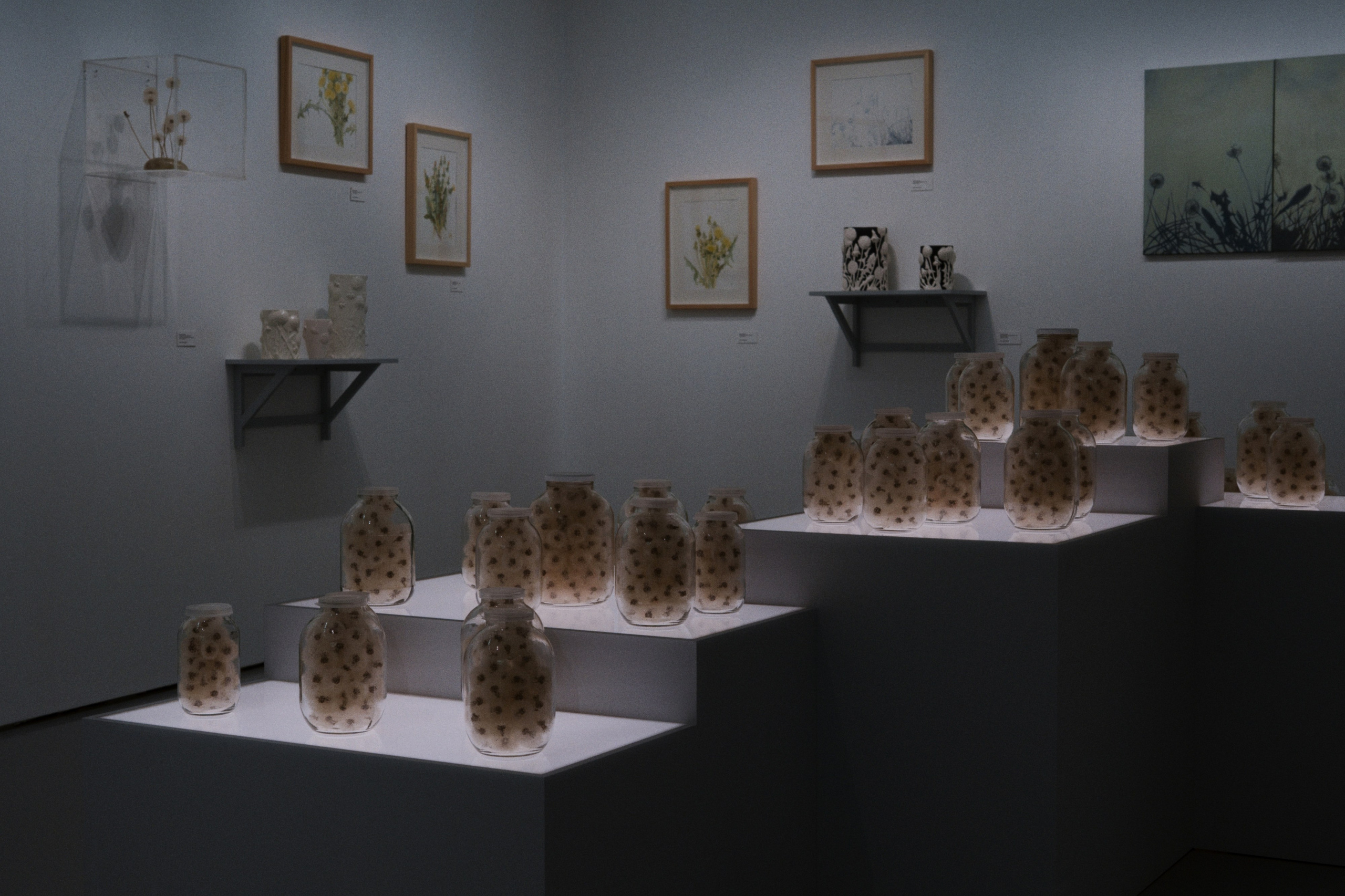 MAMM / Moscow, Russia SS25. Фотограф Юрин Евгений