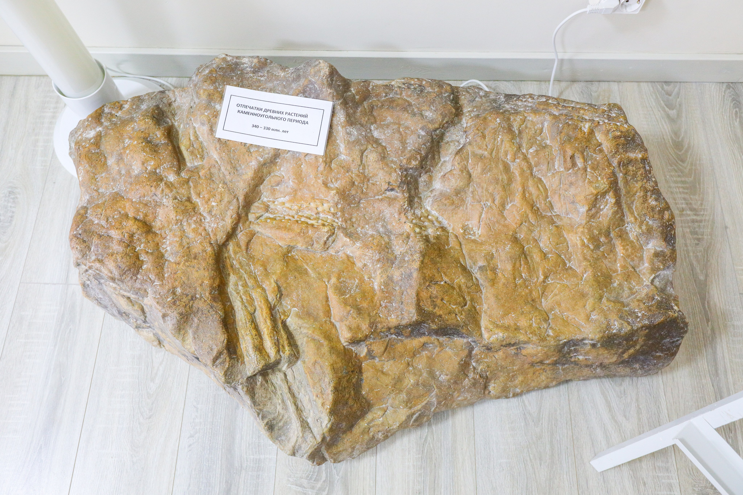 Поездка в Белев и на производство пастилы. Фотограф в Туле Крупский АнДРей. Фотостудия «КАДР71» в Туле