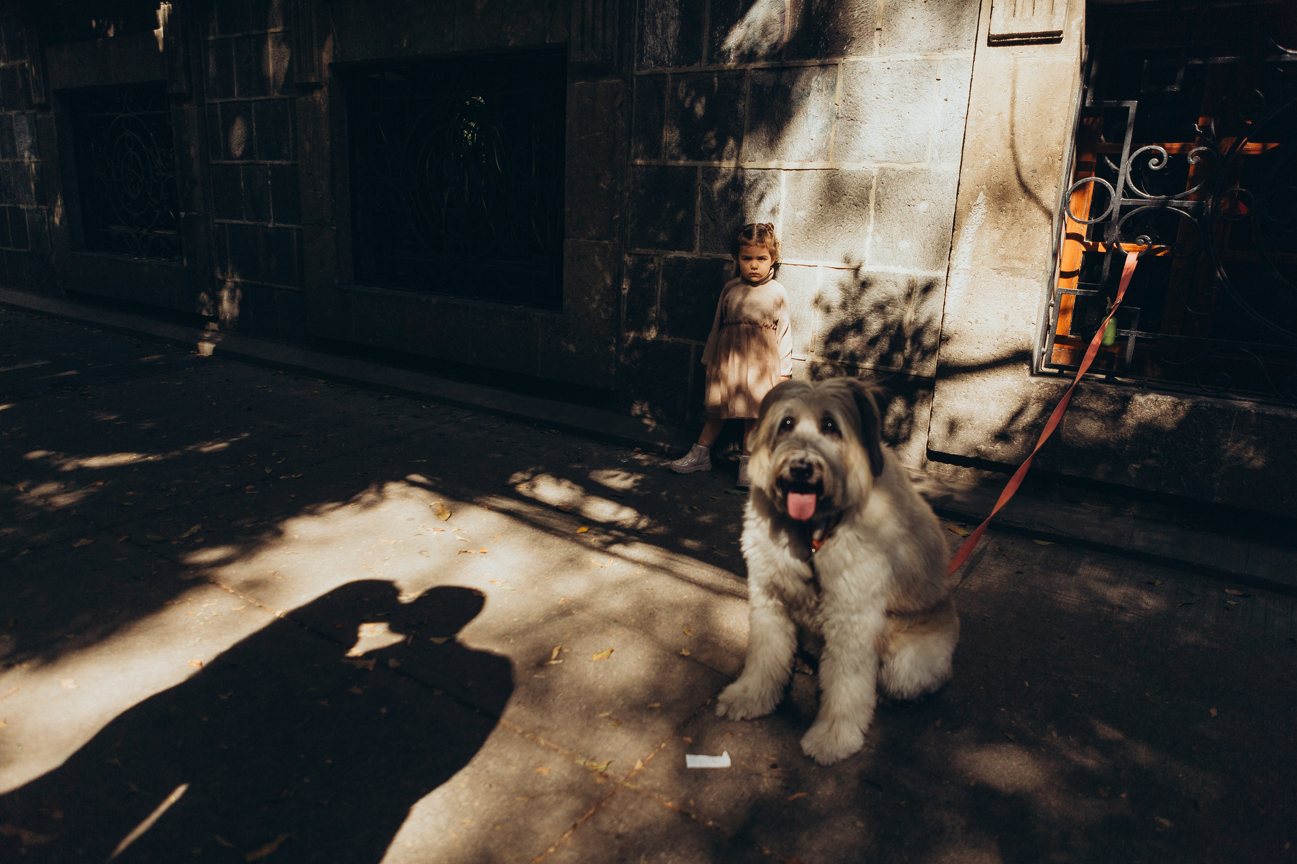 Sesión de fotos familiar en Ciudad de México: lo que necesitas saber. Irina Krokhaleva. Fotógrafa de familias y parejas en Ekaterimburg, Rusia