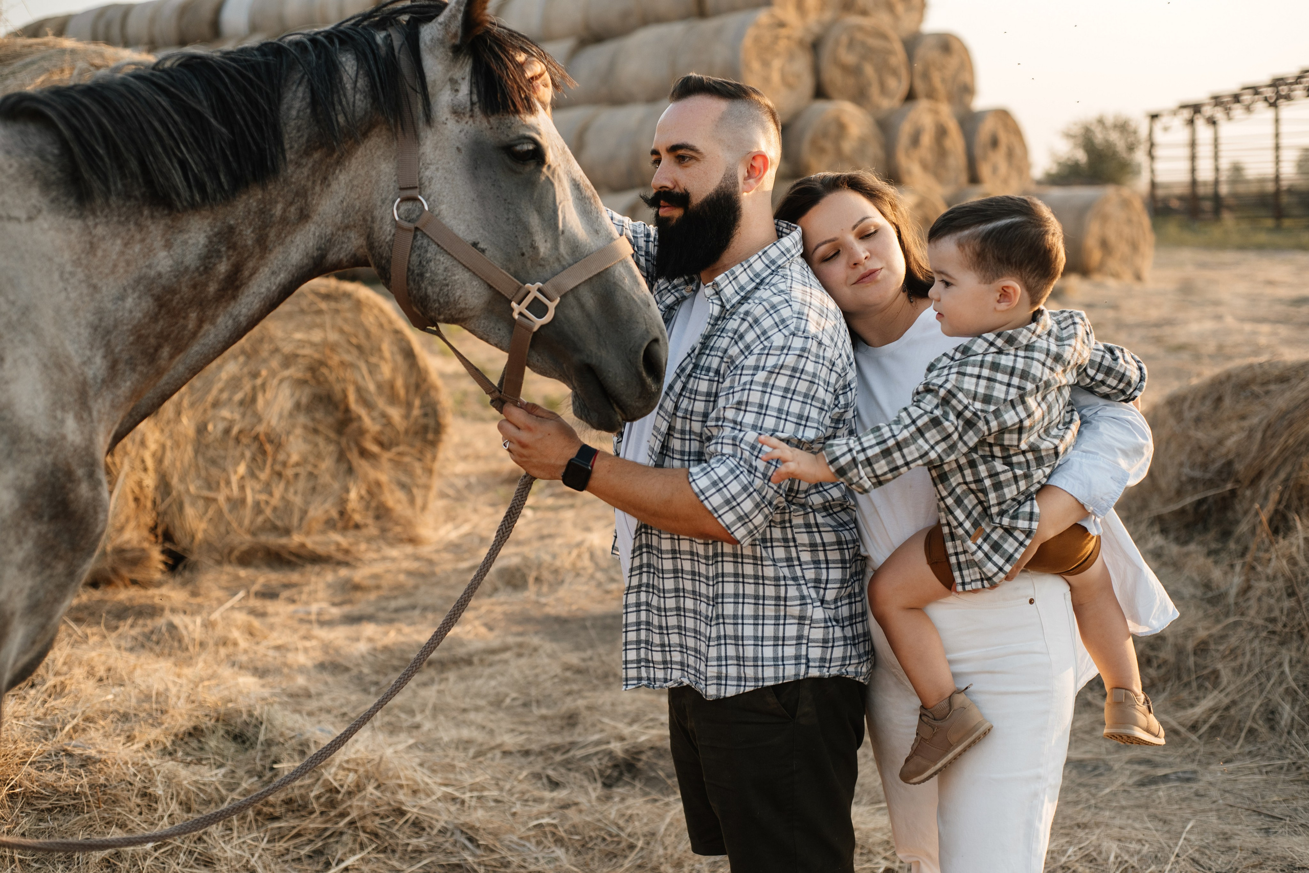 Главная. Семьи