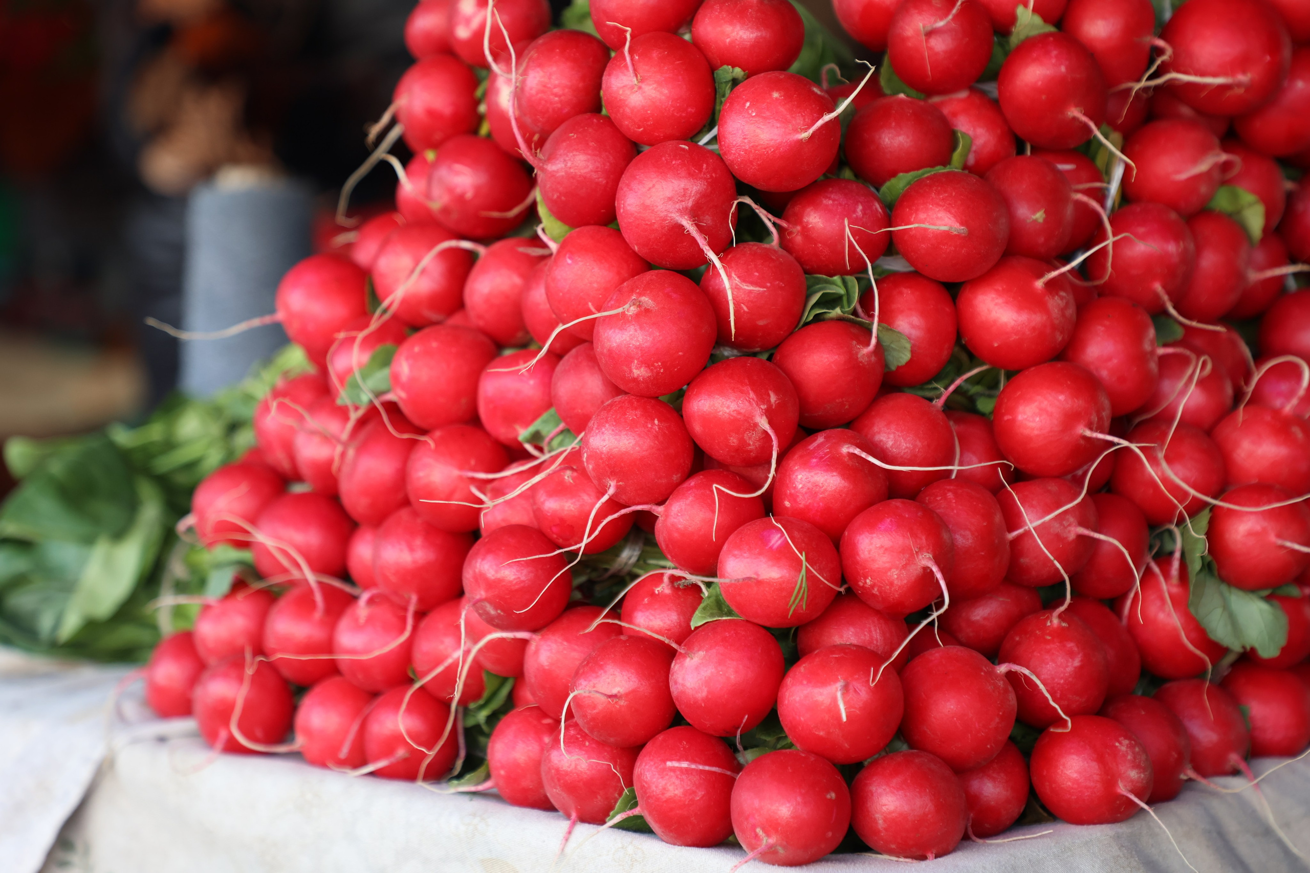 Tashkent, Uzbekistan. Andrey Filippov Photographer