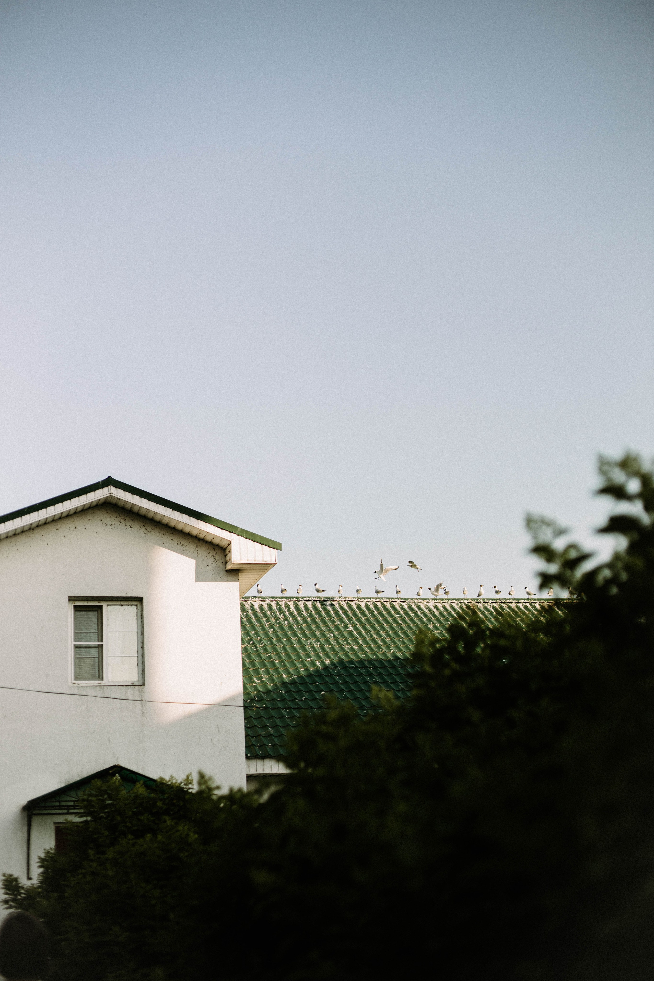 Сева. Ворсма. Фотограф в Нижнем Новгороде
