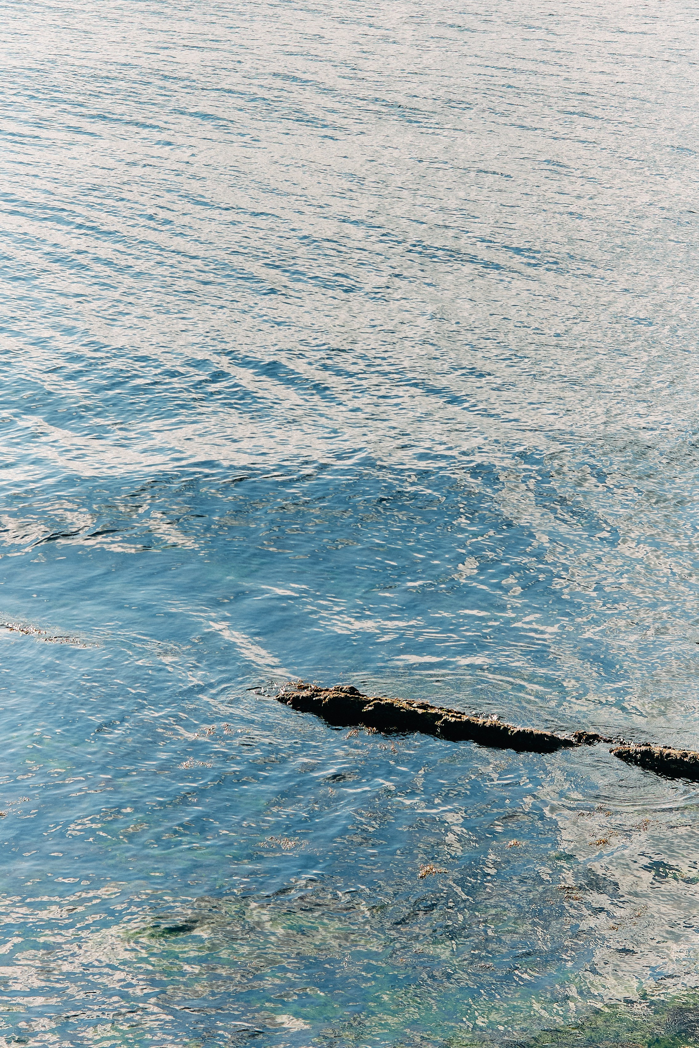 Юг России. Профессиональный Фотограф во Владимире, в Москве и в Суздале — Полина Романычева
