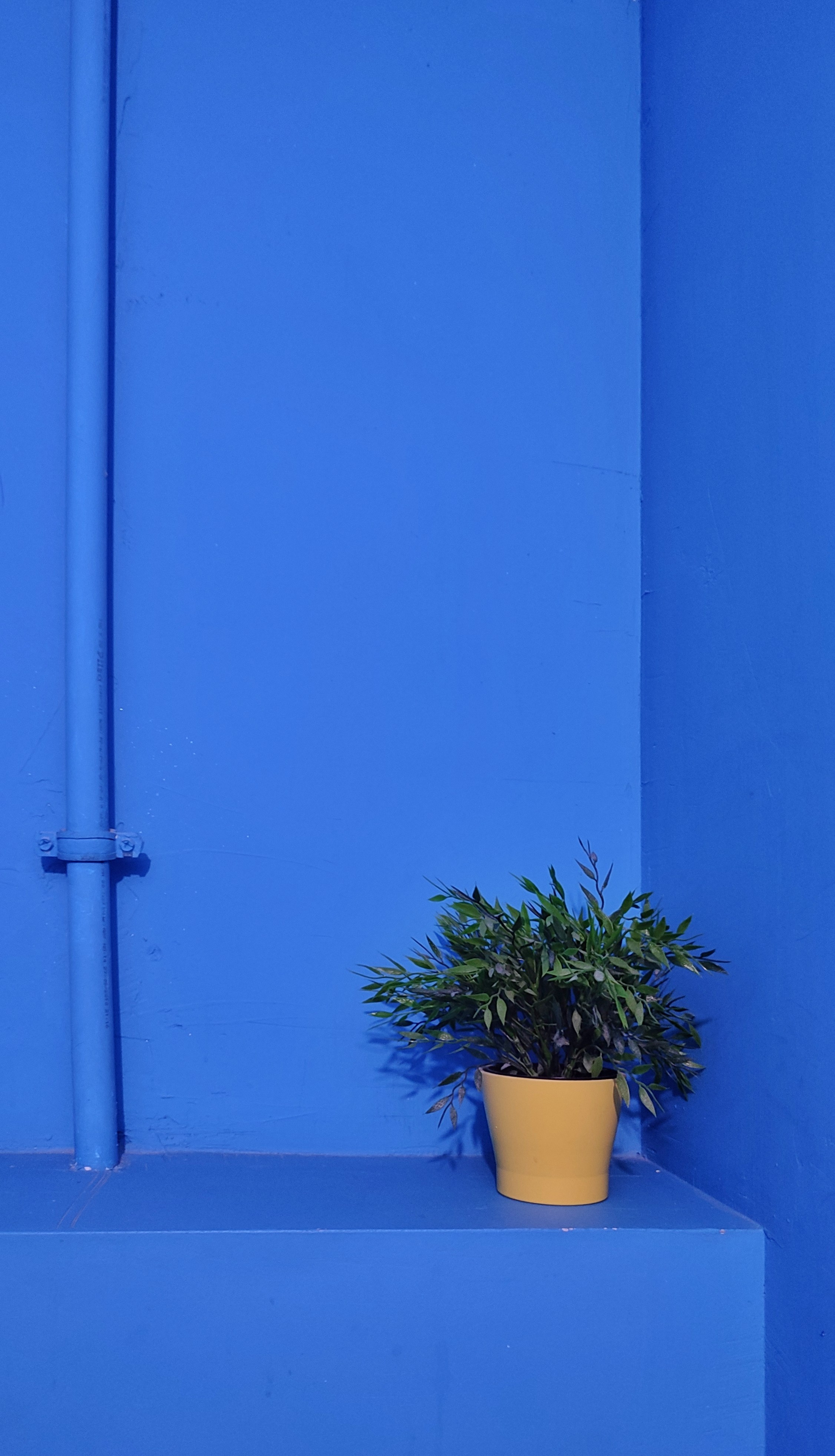 Documentary. Portrait photographer in Tivat Montenegro Katerina Kirsanova